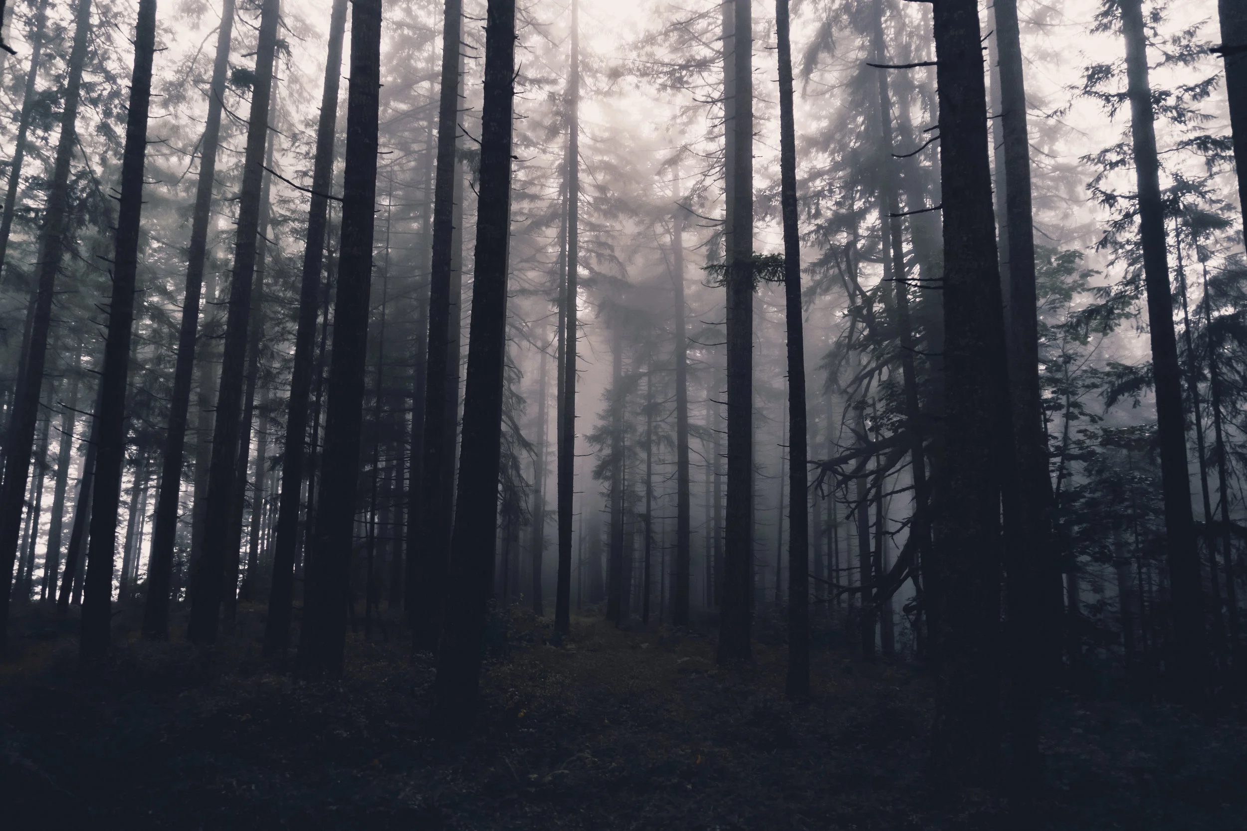 Treating Addiction as a Disease