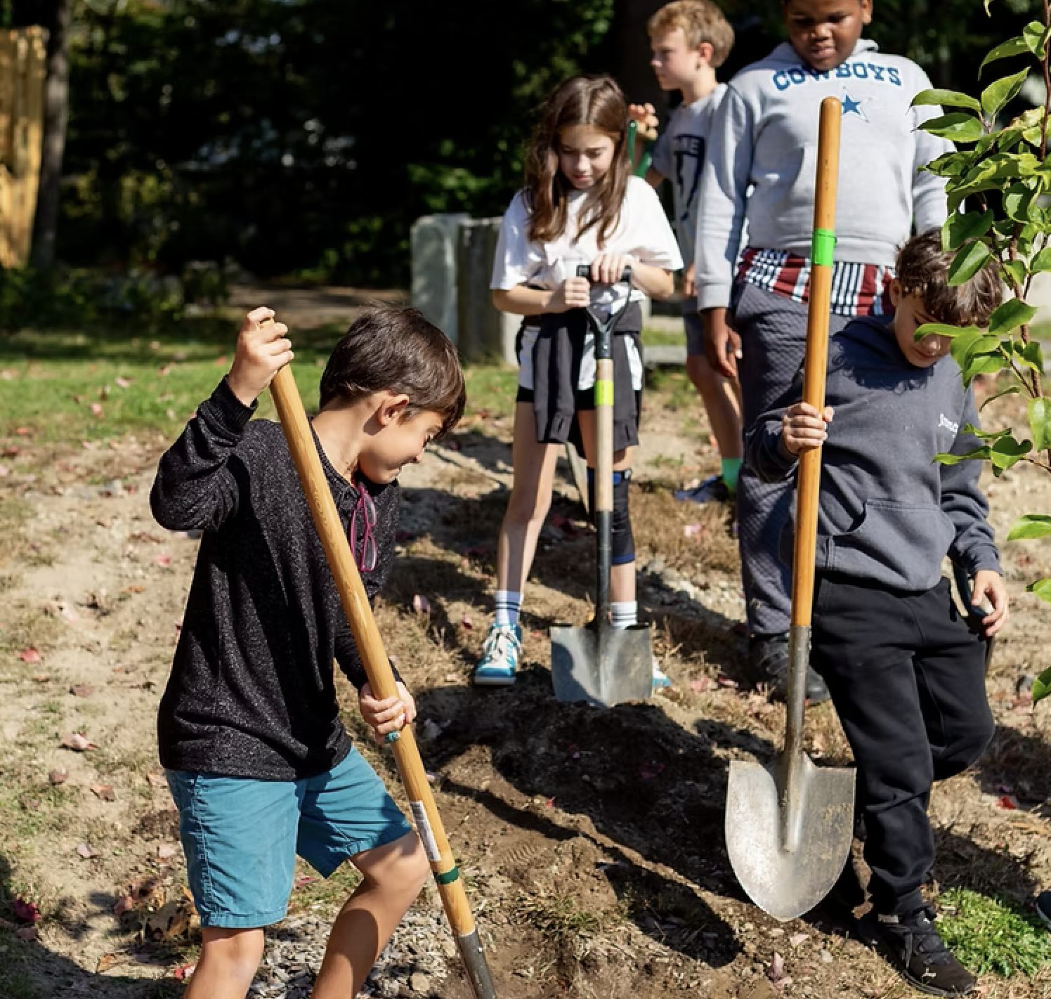 ReTreeUs Tree Grafting Workshop