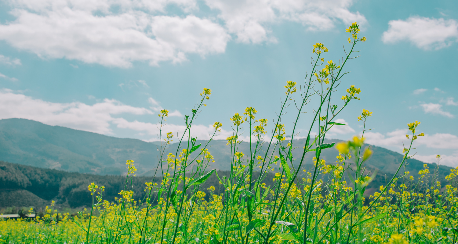 The true test of climate resilience