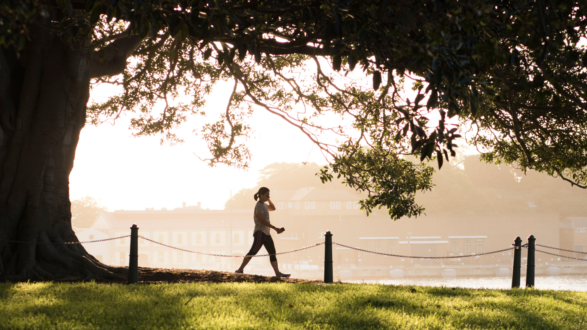 The Post-Meal Walk — The Deep Dive