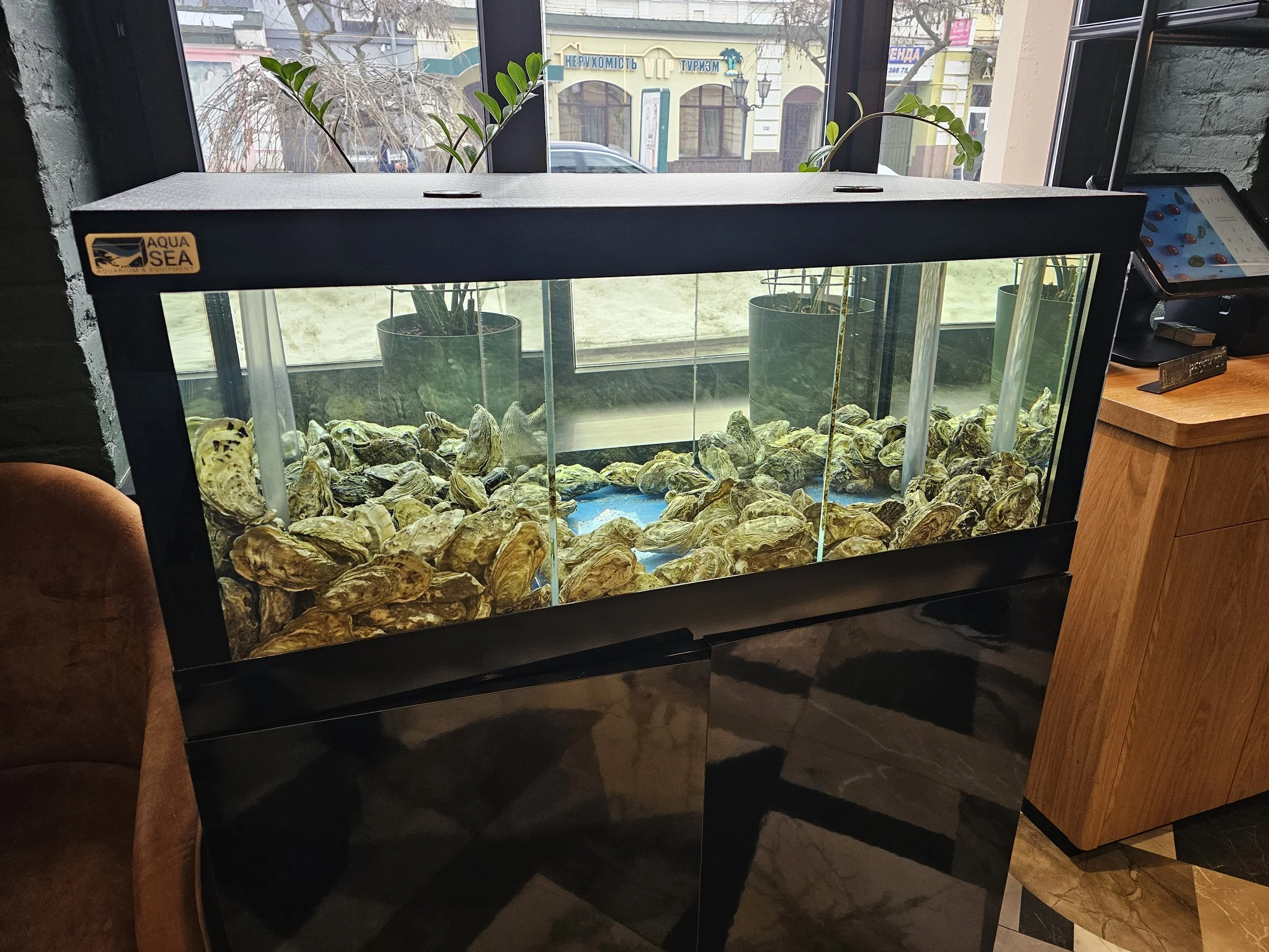 Bivalve Mollusk Supply Chain In Ukraine Functions 19 Miles From Border With Russia.  Another Ukraine Hotel Impacted By War.  Landlords Taking Advantage Of Tenants.  Buyers/Renters Prefer Bottom 20%