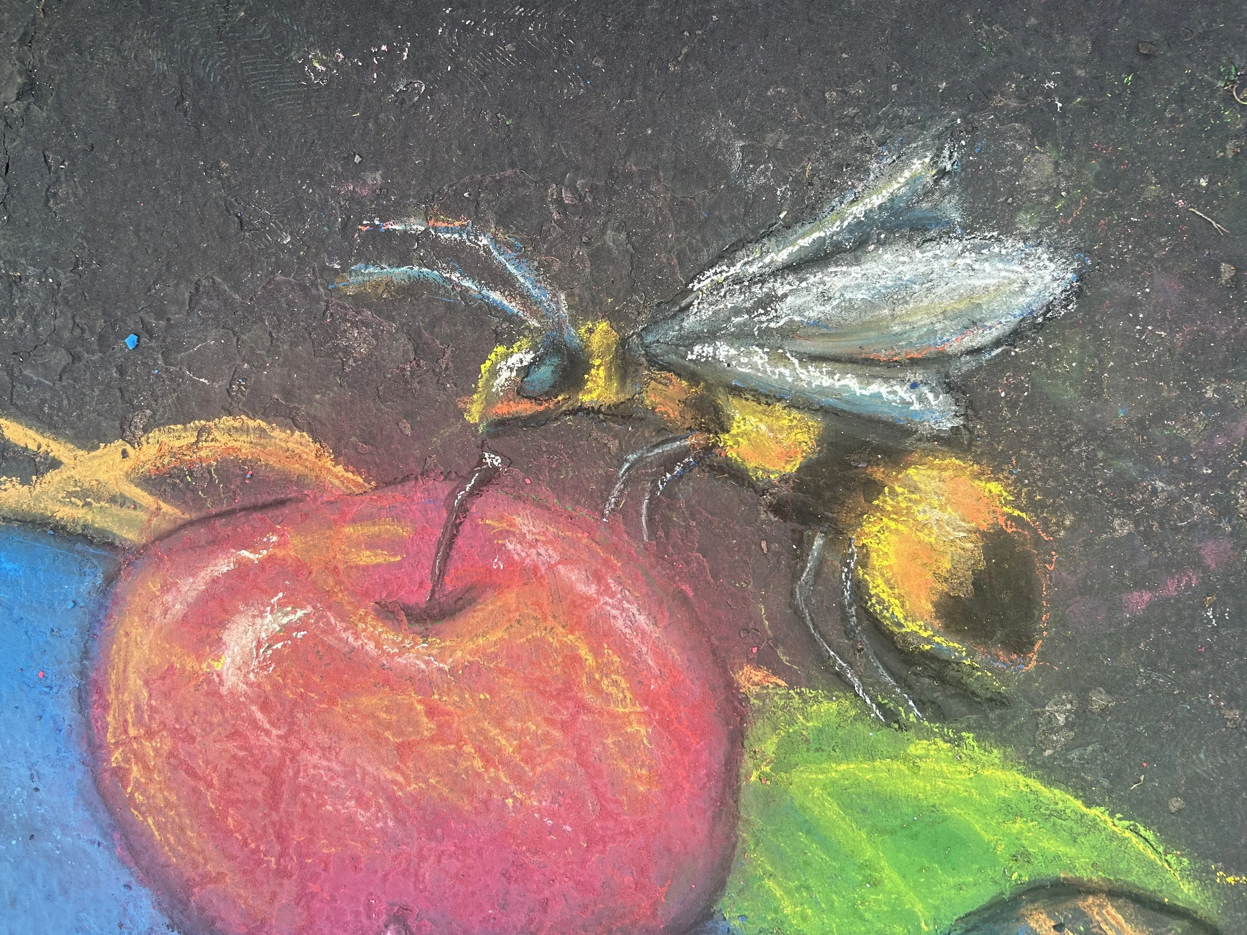 bee close up.jpg