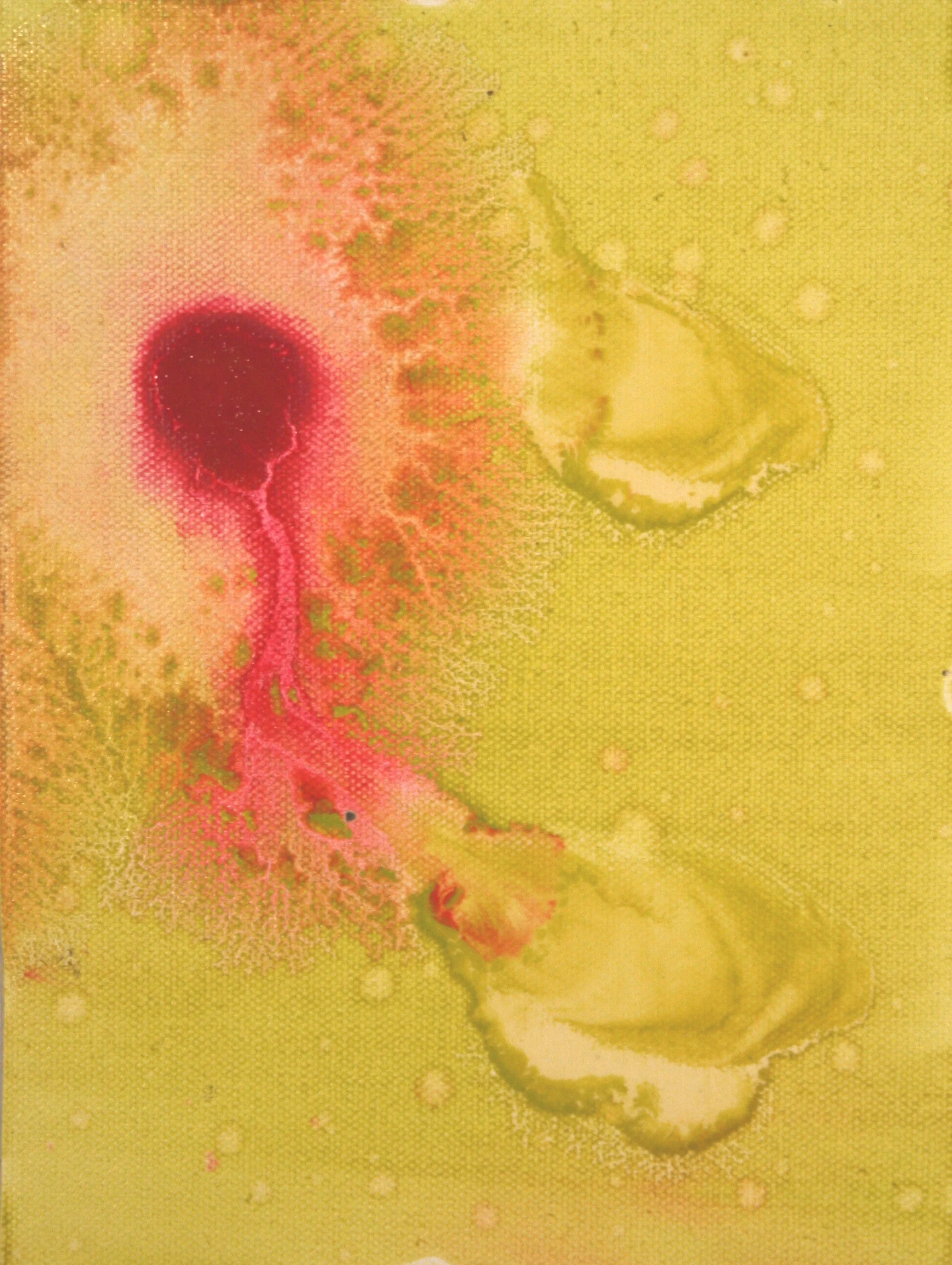 genisis.study7_2006.jpg