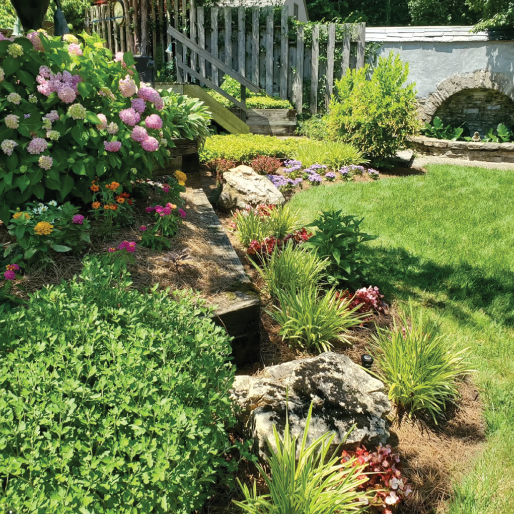 Yard landscaping with plants in full bloom amongst rocks. Landscaping and design by Green Living by Design.
