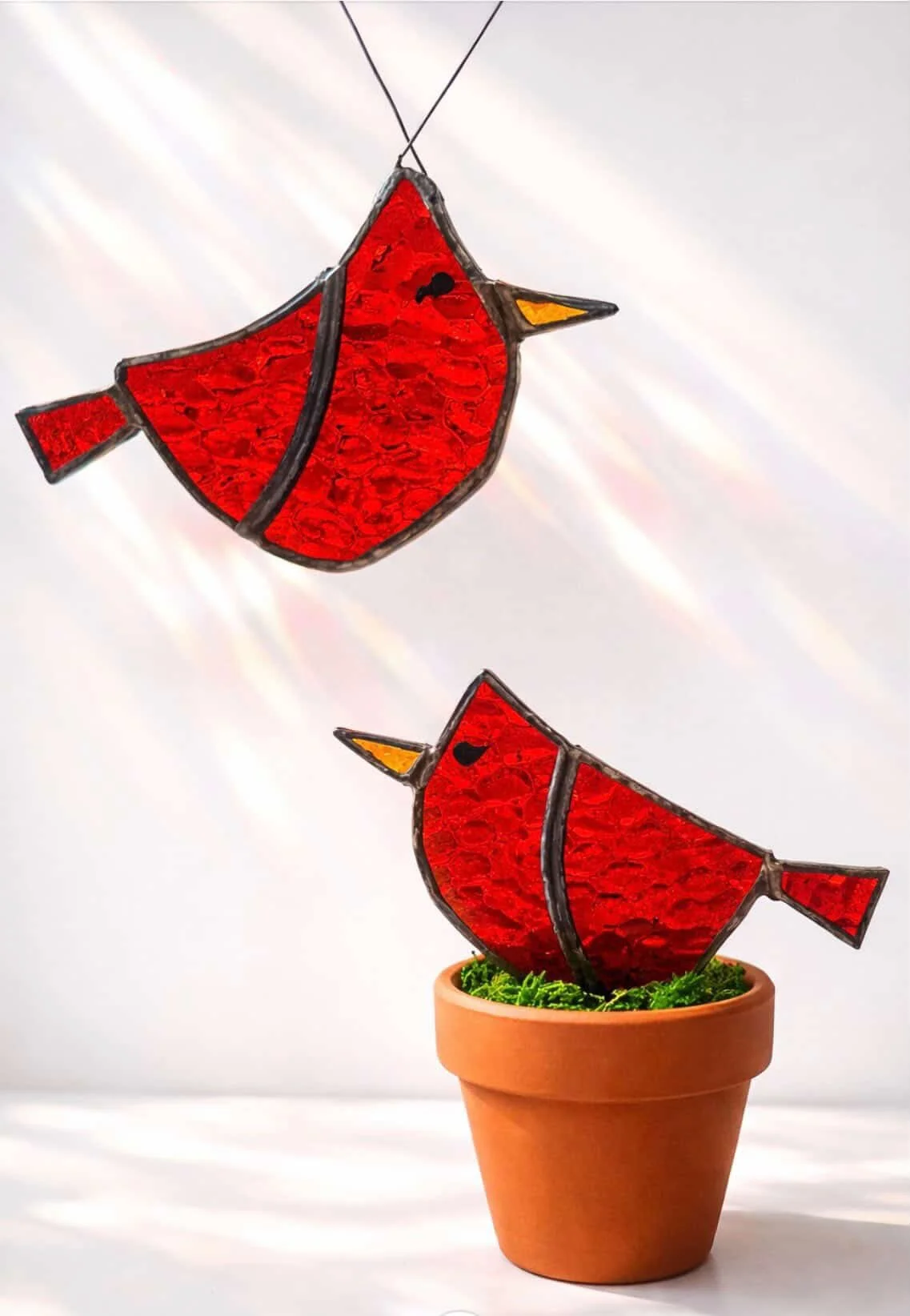 Glass Garden Club - Red Cardinal Stained Glass Workshop 