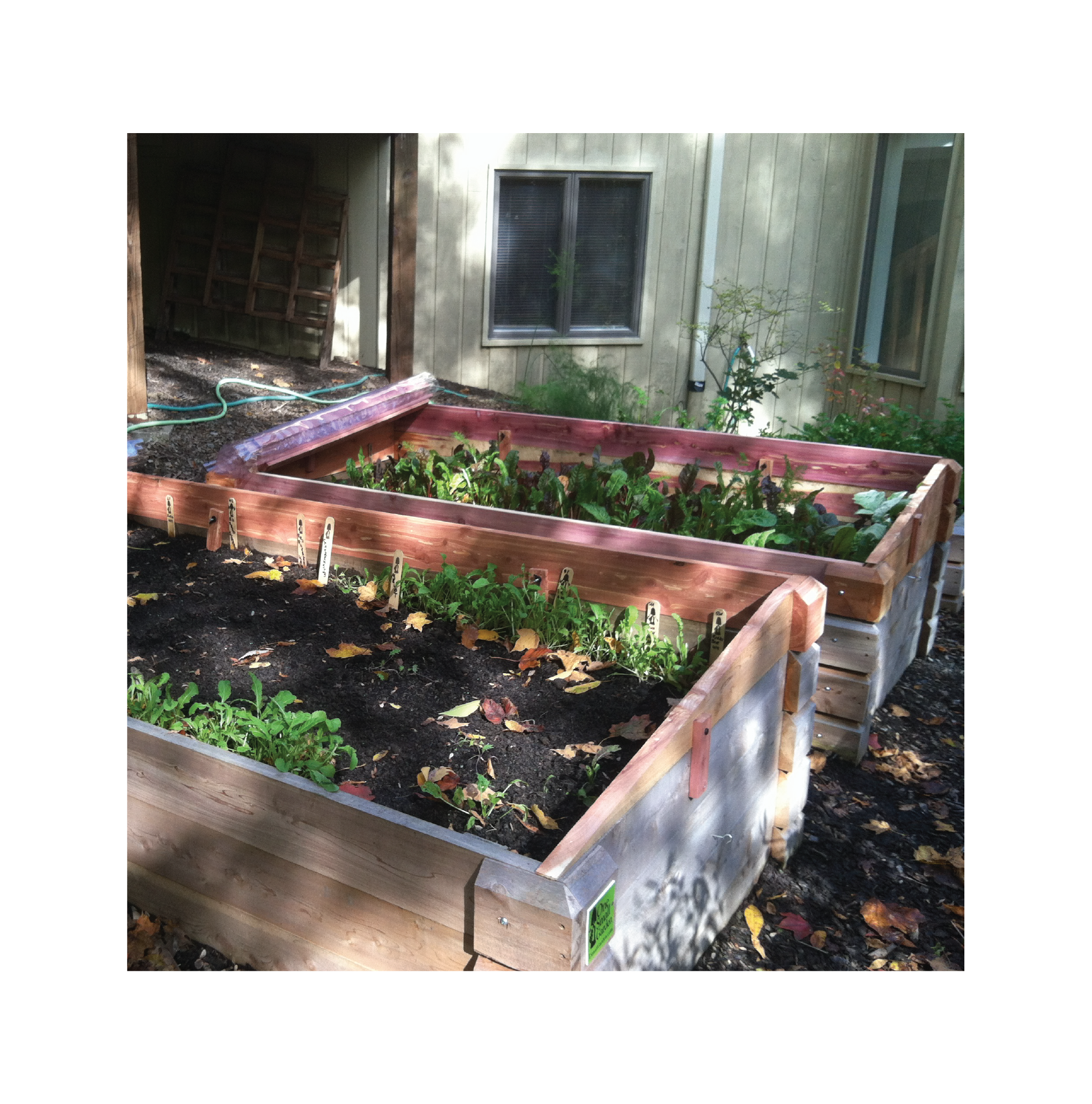 4' x 8' x 18"- Beauty Shot-66.png