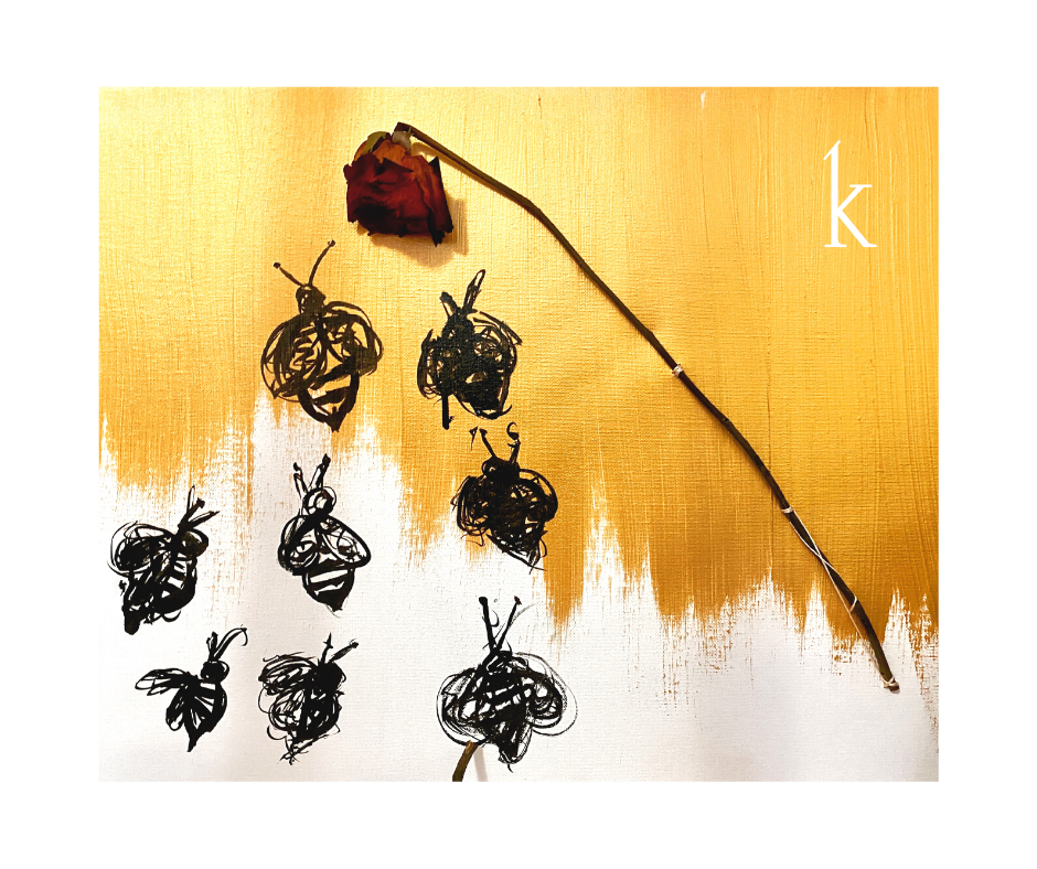 FFFE6BA8-9811-45ED-8552-5ABBB2D64511