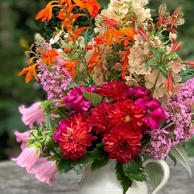 Current garden blooms. Sweet June at The Cottage. @thecottageatfivepoints @airbnb #guesthouseretreat #summergetaway2020 @visitathensga #fivepointsathens #fivepointsathensga
