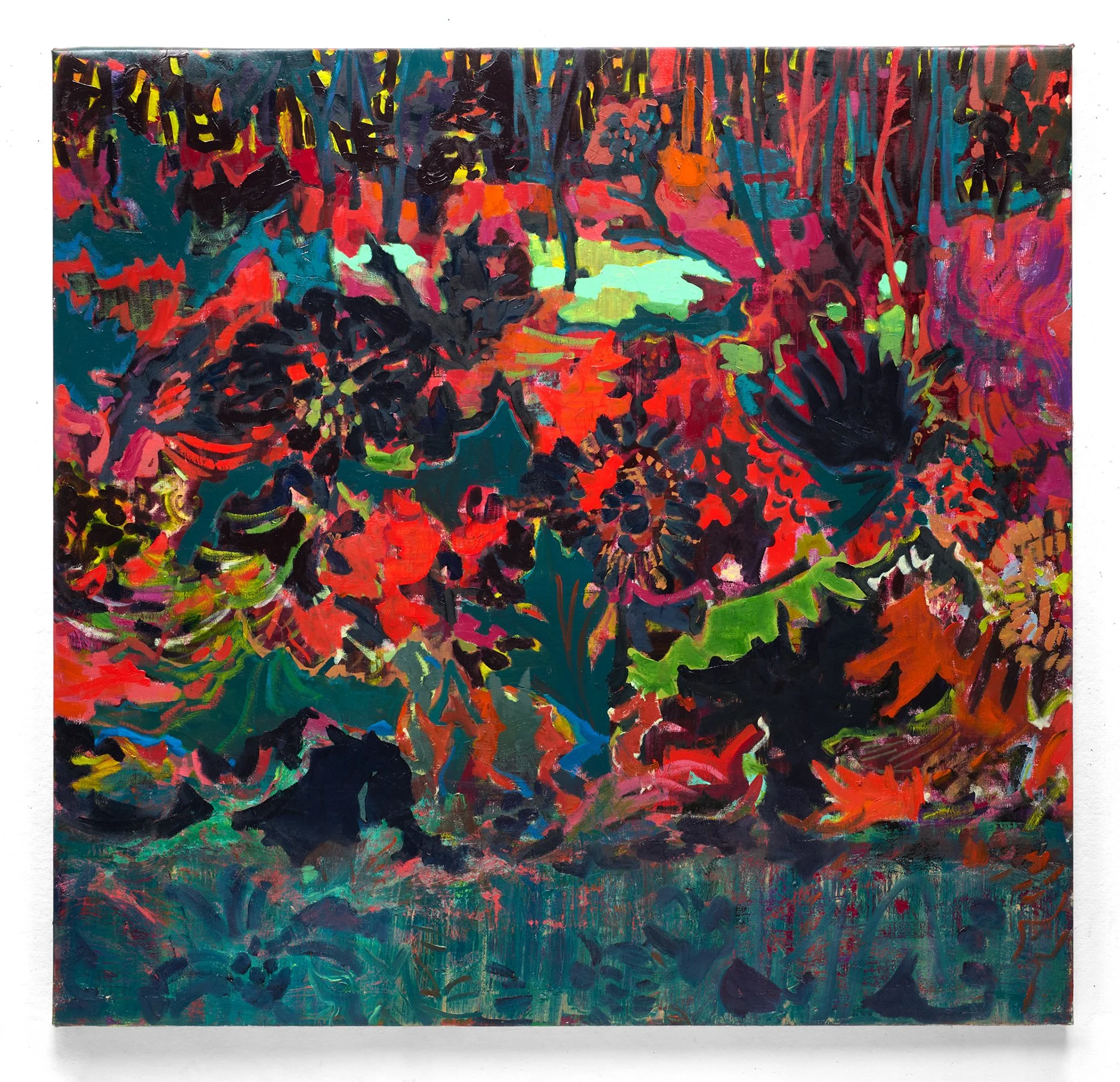   Magic Carpet Ride , 2025  oil on canvas  50 in. x 52 in. 