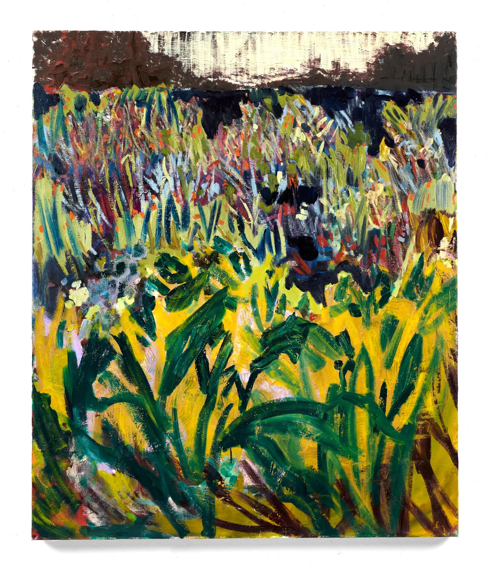   Outliers , 2025  oil on canvas  50 in. x 42 in. 