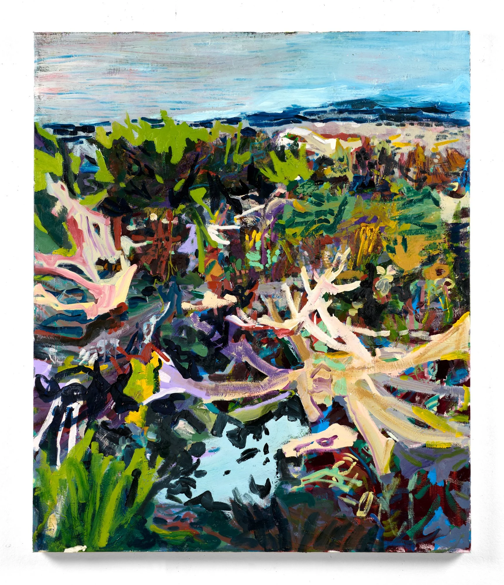   The Crowds Have All Gone , 2024  oil on canvas  50 in. x 42 in. 