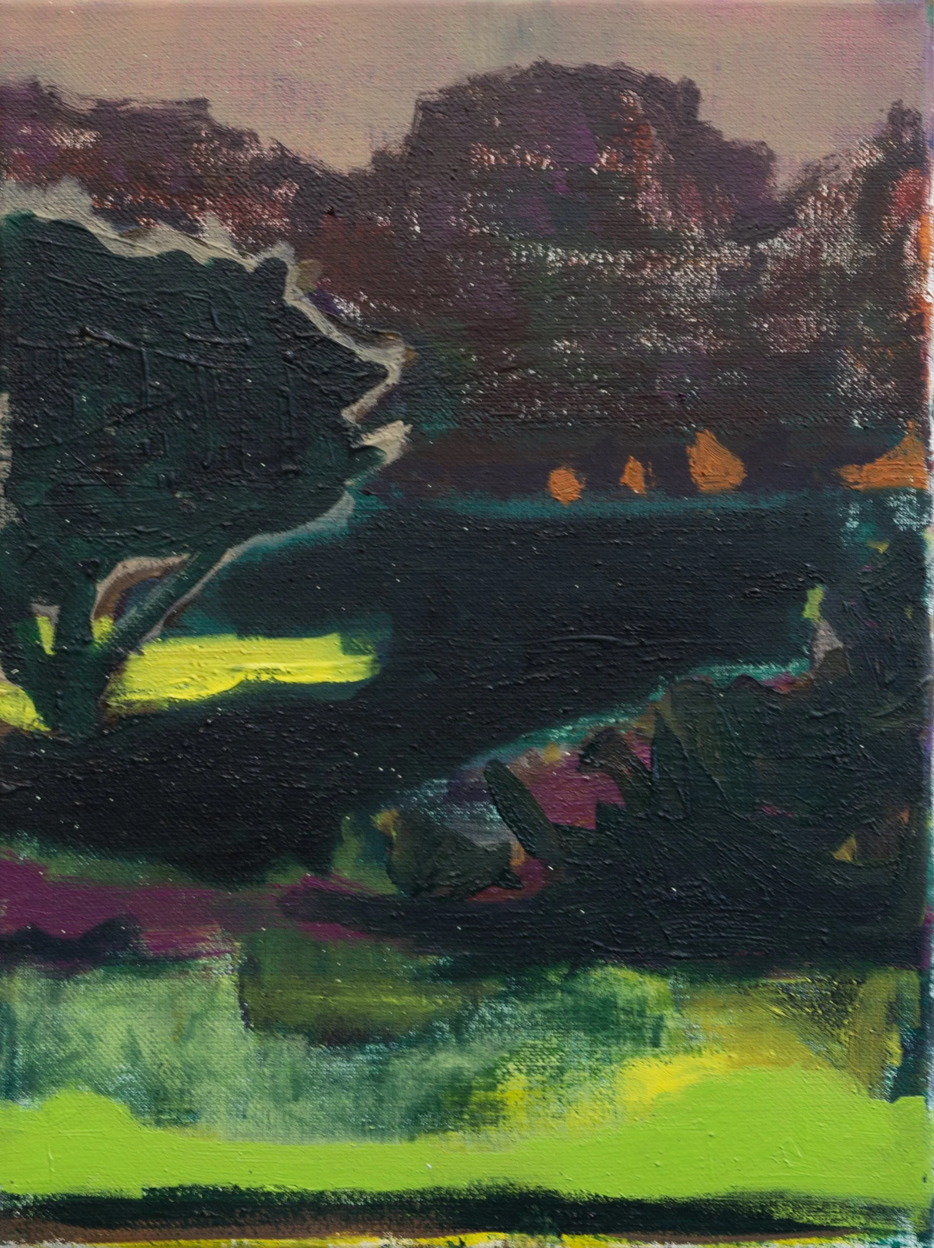  Untitled, 2024   oil on canvas   12 in. x 9 in. 