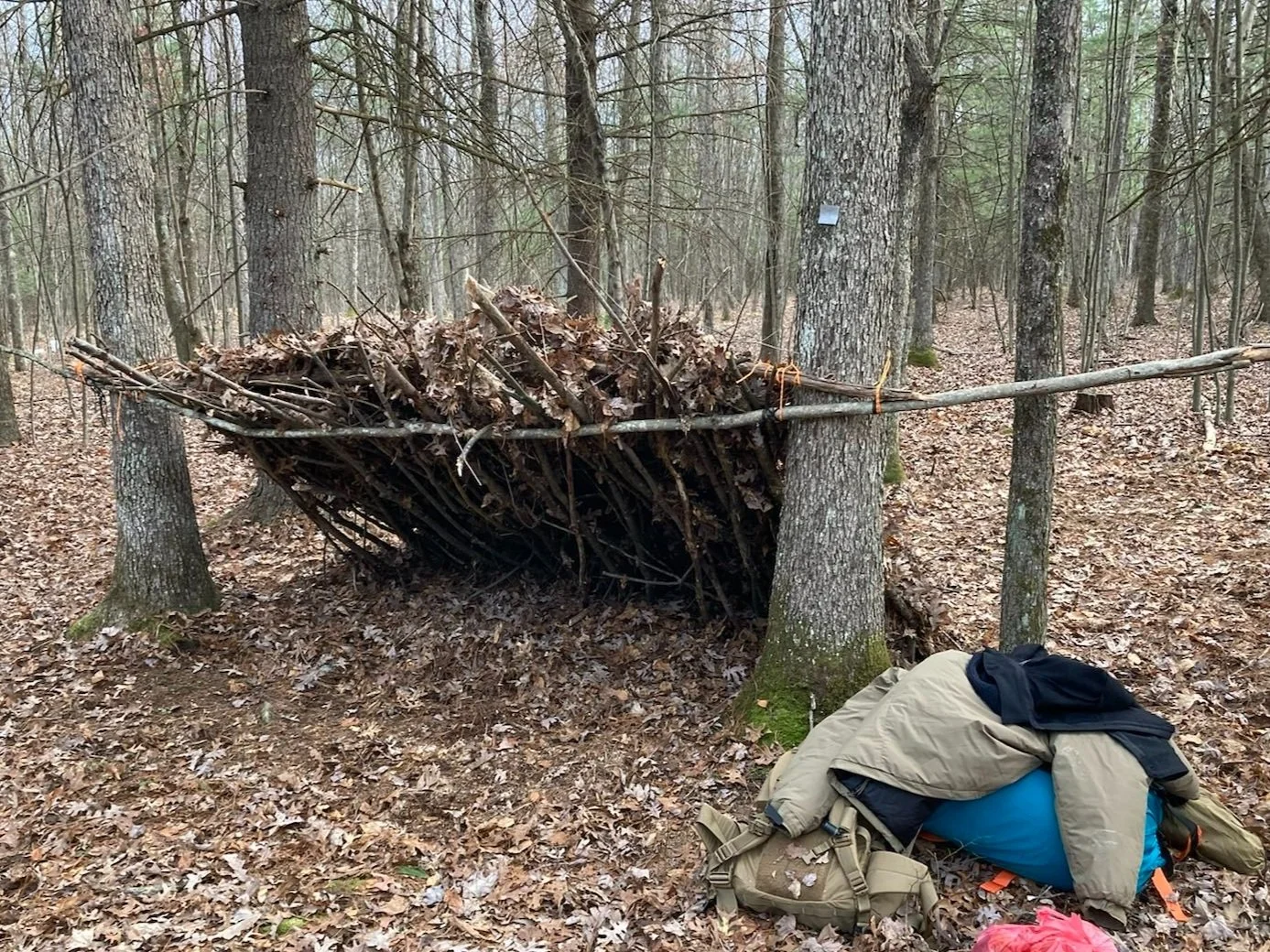 Austere Environment Survival Series: Wilderness Skills Reviews