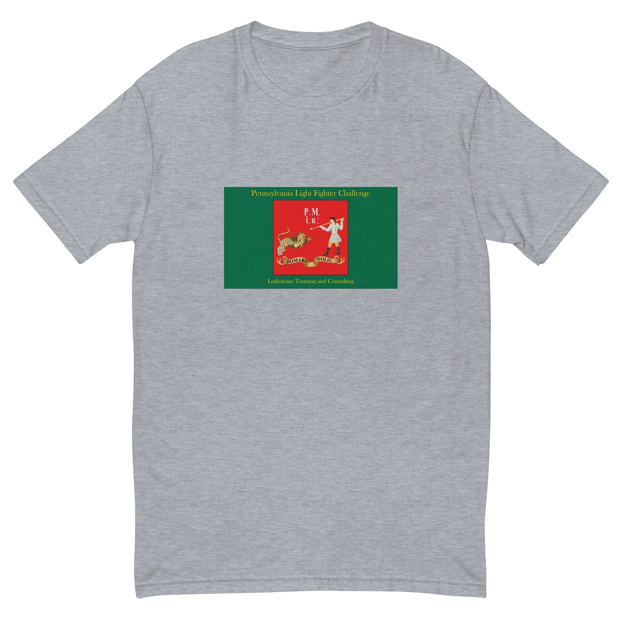 mens-fitted-t-shirt-heather-grey-front-68d5e58773d5a.jpg