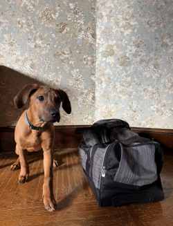 IMG_6648 smaller.png