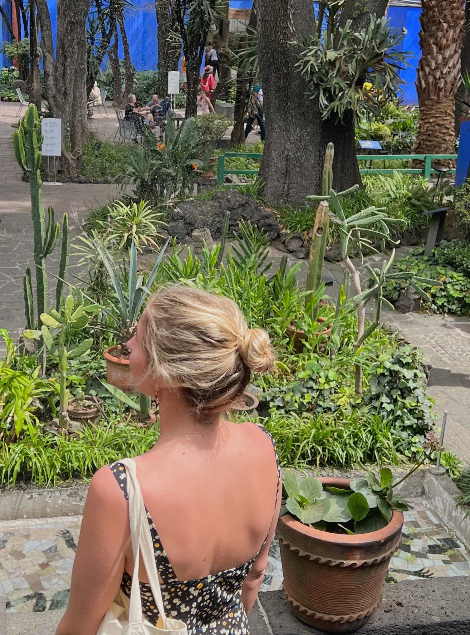 la casa azul, cdmx (Copy)