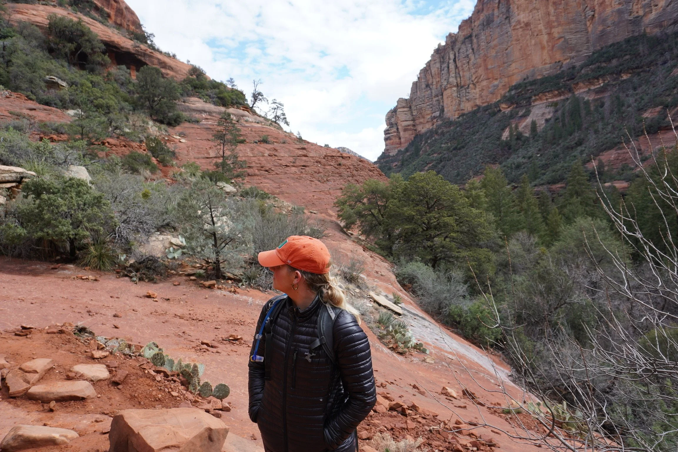coconino national forest (Copy)
