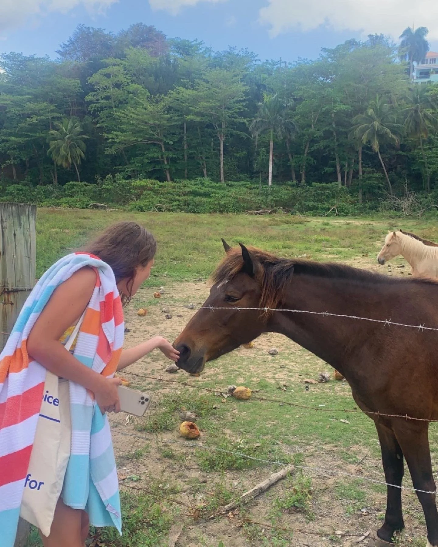 rincón, puerto rico (Copy)