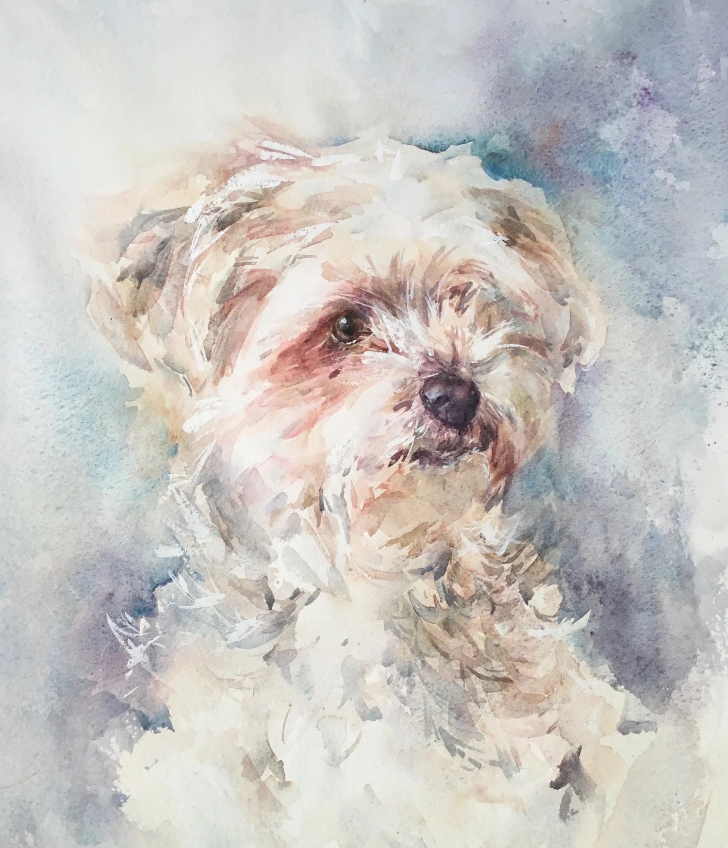 Painting Dogs in Watercolour — Sara Corren