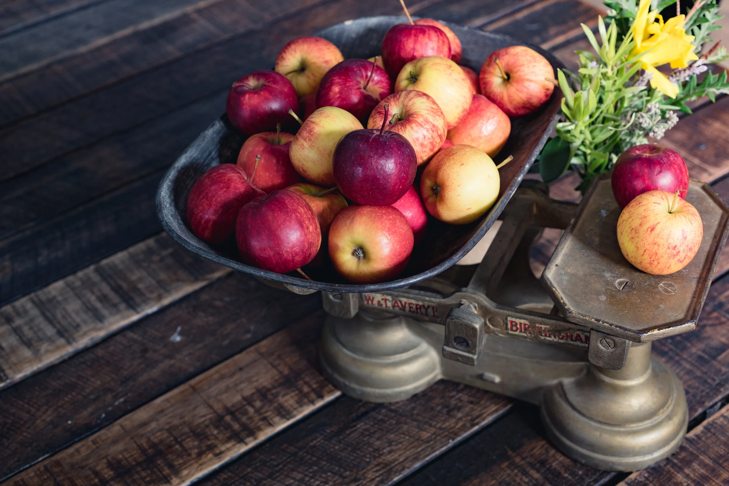 the pros and cons of adoption