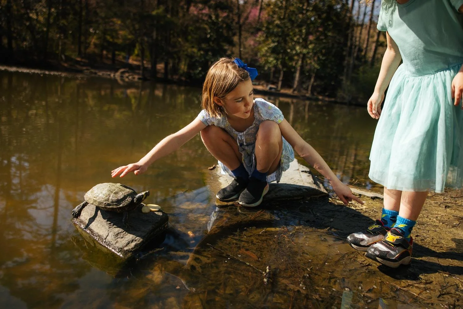 Young girl crouching by the pond to touch a turtle on a rock at Duke Gardens Durham NC with her younger sister watching nearby
