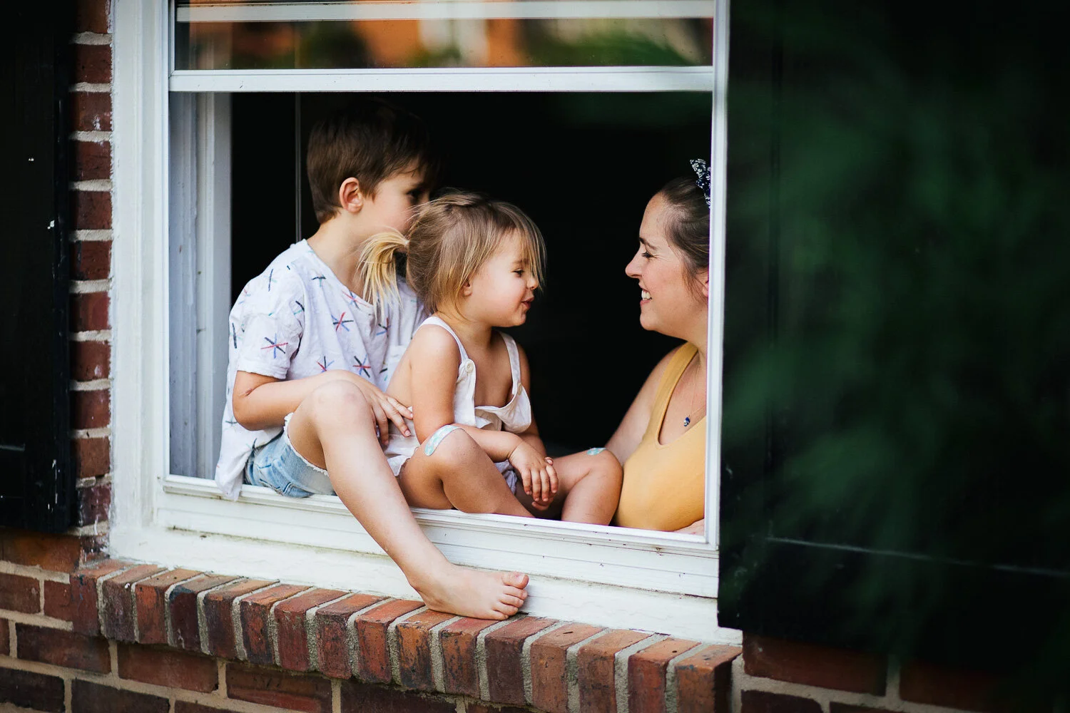 The Window Portrait Project