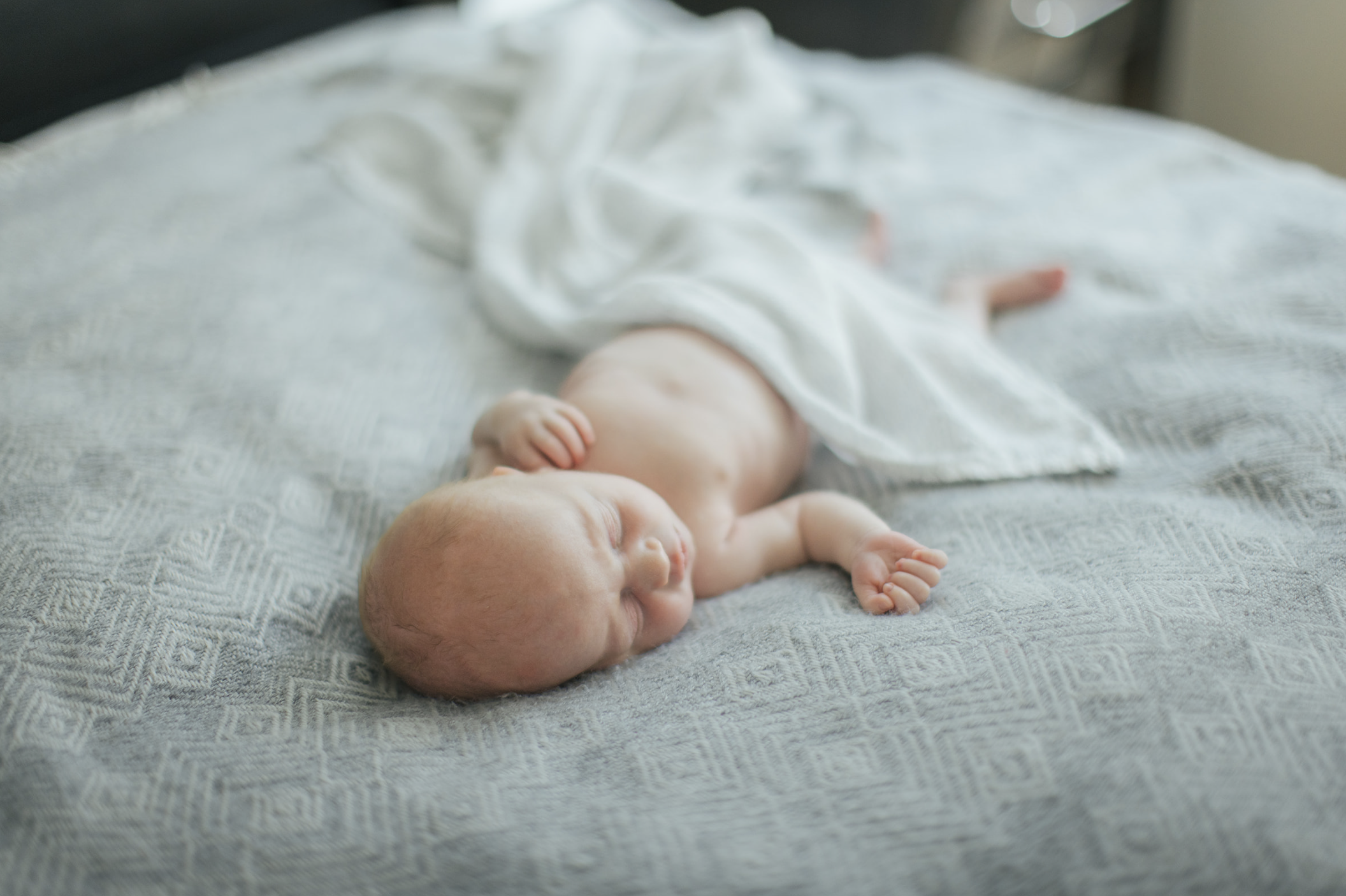 Hillsborough Newborn Session || Hillsborough Family Photographer 