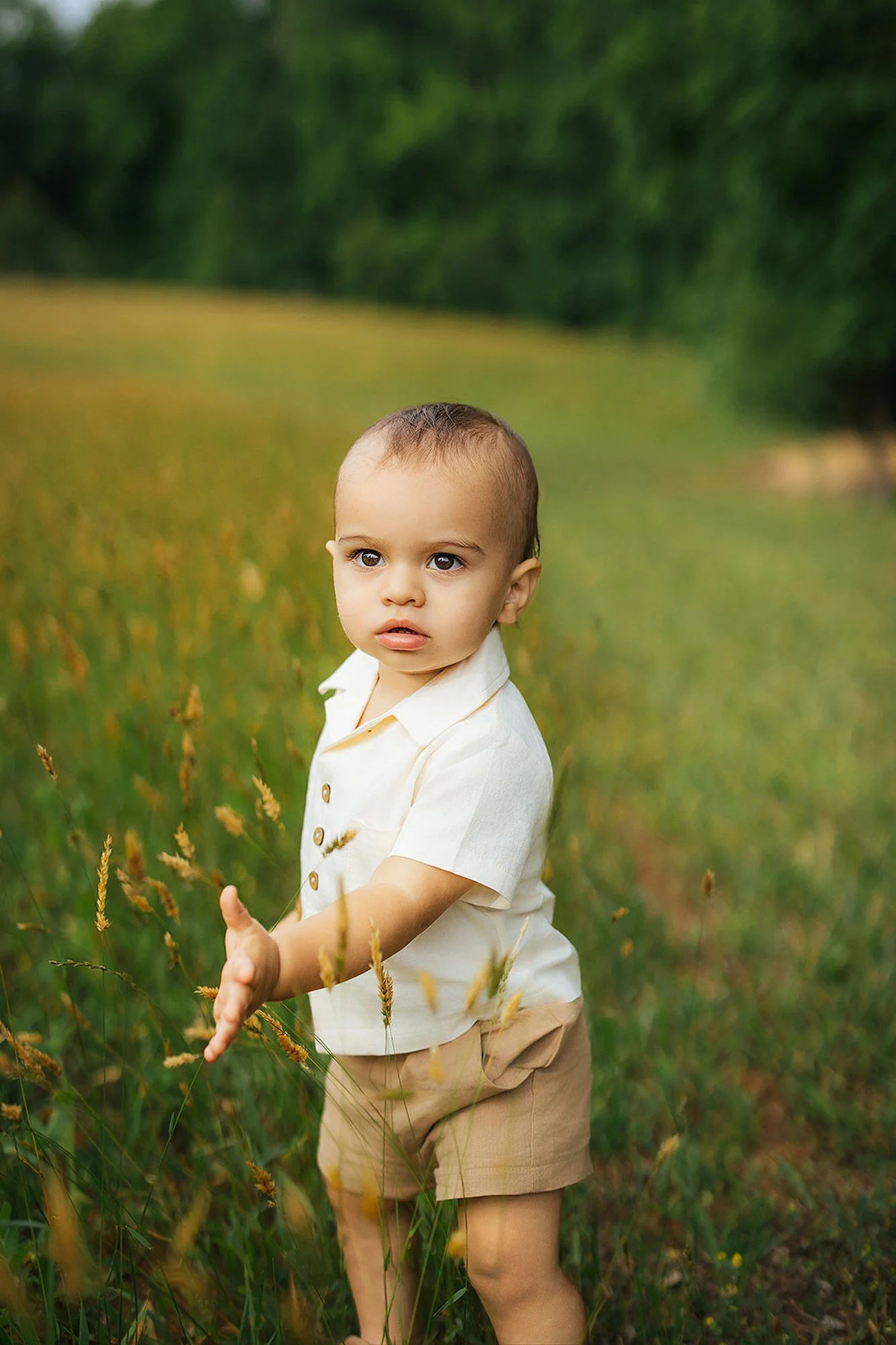 Young Boy Standing Among Tall Grass Blackwood Farm Park