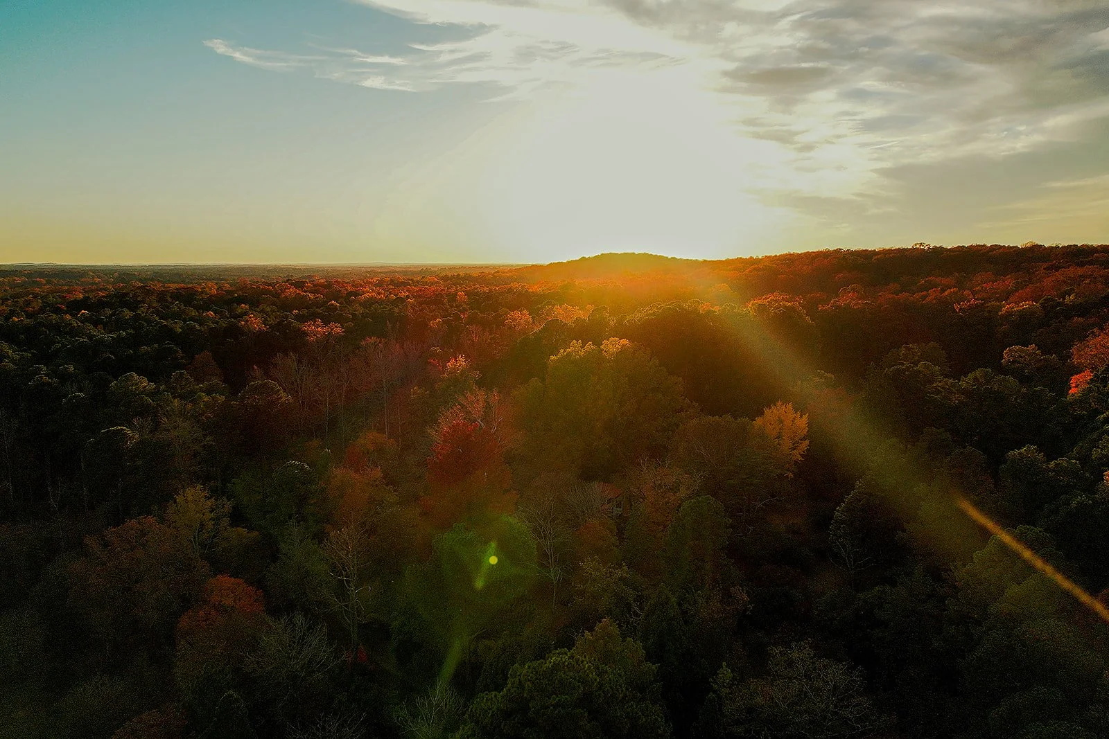 Aerial Drone Image of Fall Leaves on Trees with Sun Glare in Background