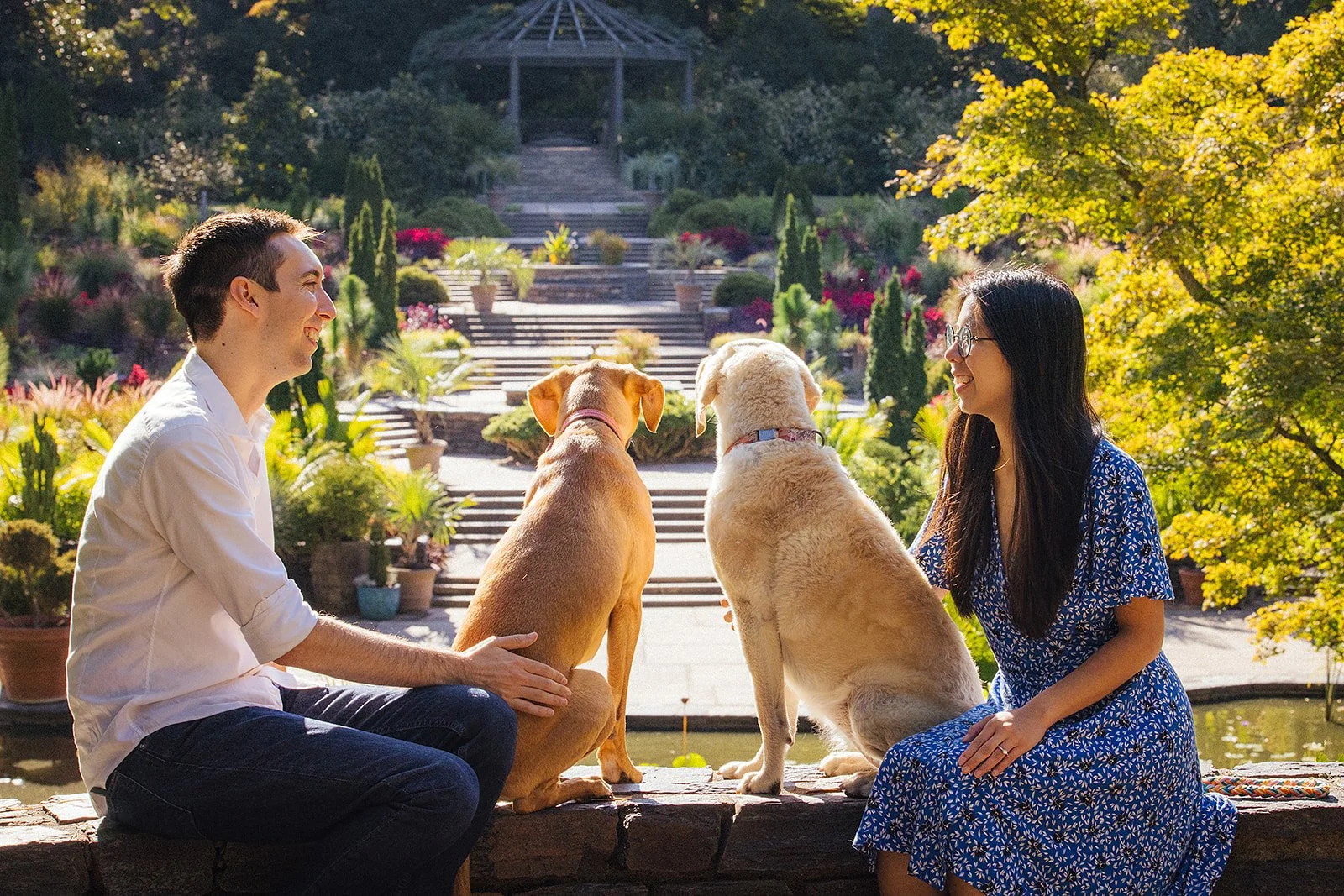 Couple sits with their dogs looking up the stairs at Duke Gardens during a surprise engagement photoshoot