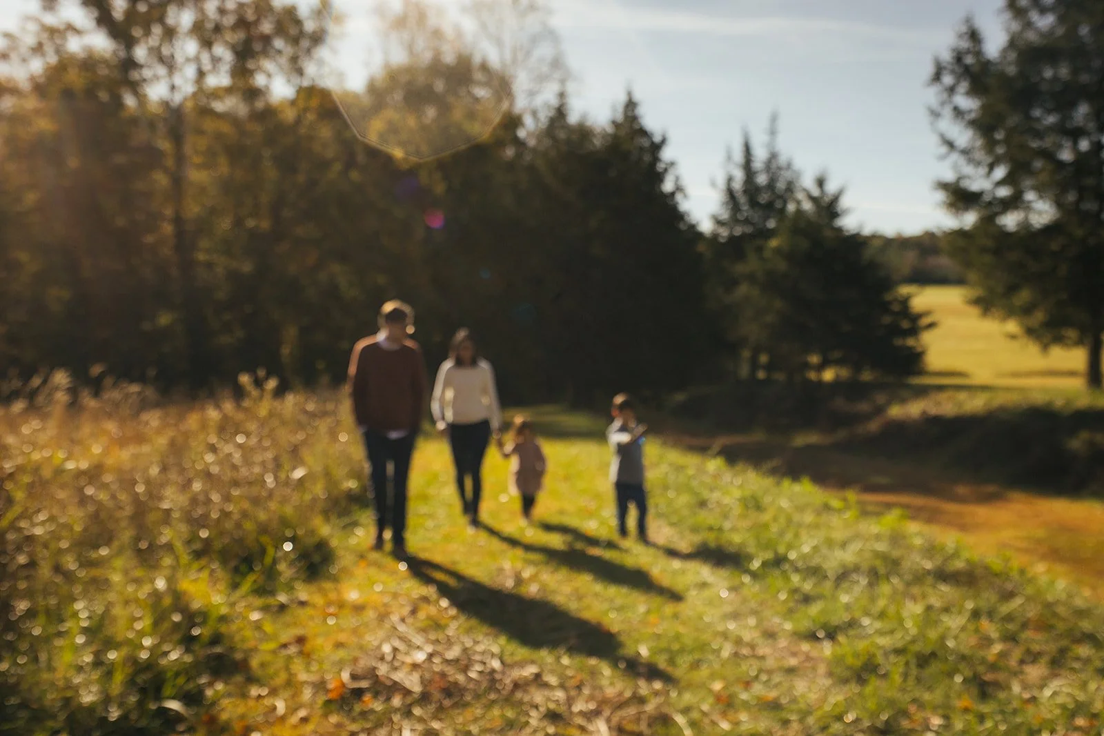 family walks in Blackwood Farm Park for Hillsborough family photoshoot