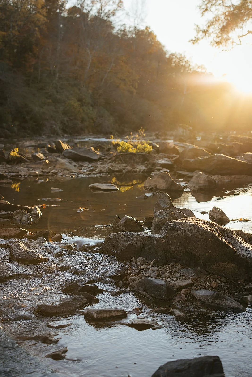 The Eno River glows in the setting sun