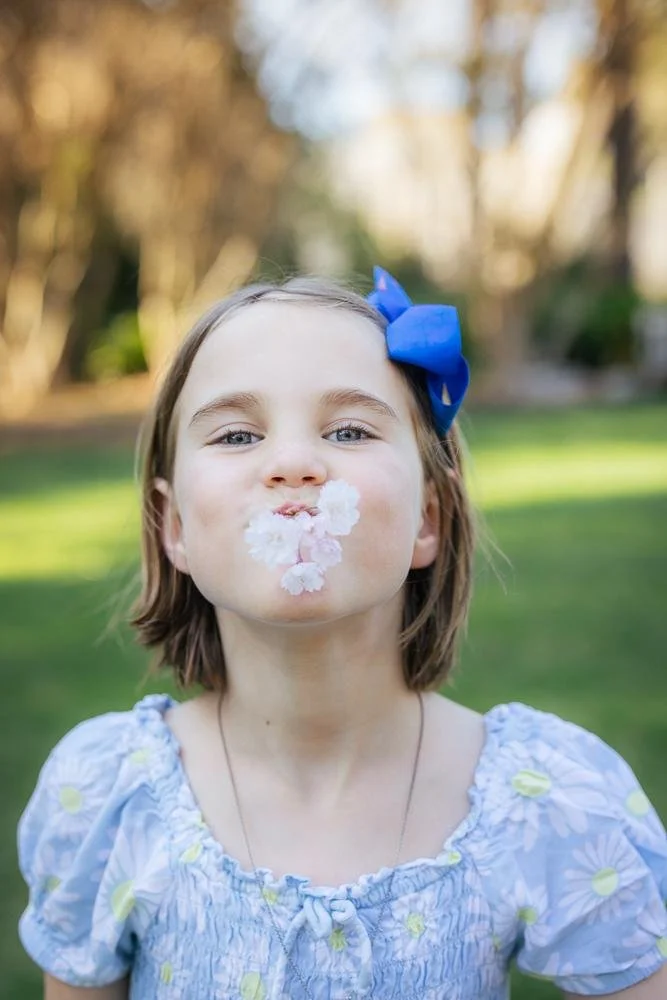 Girl in daisy dress with cherry blossoms placed in her mouth giving a mischievous look to camera during a Duke Gardens family photography session in Durham NC