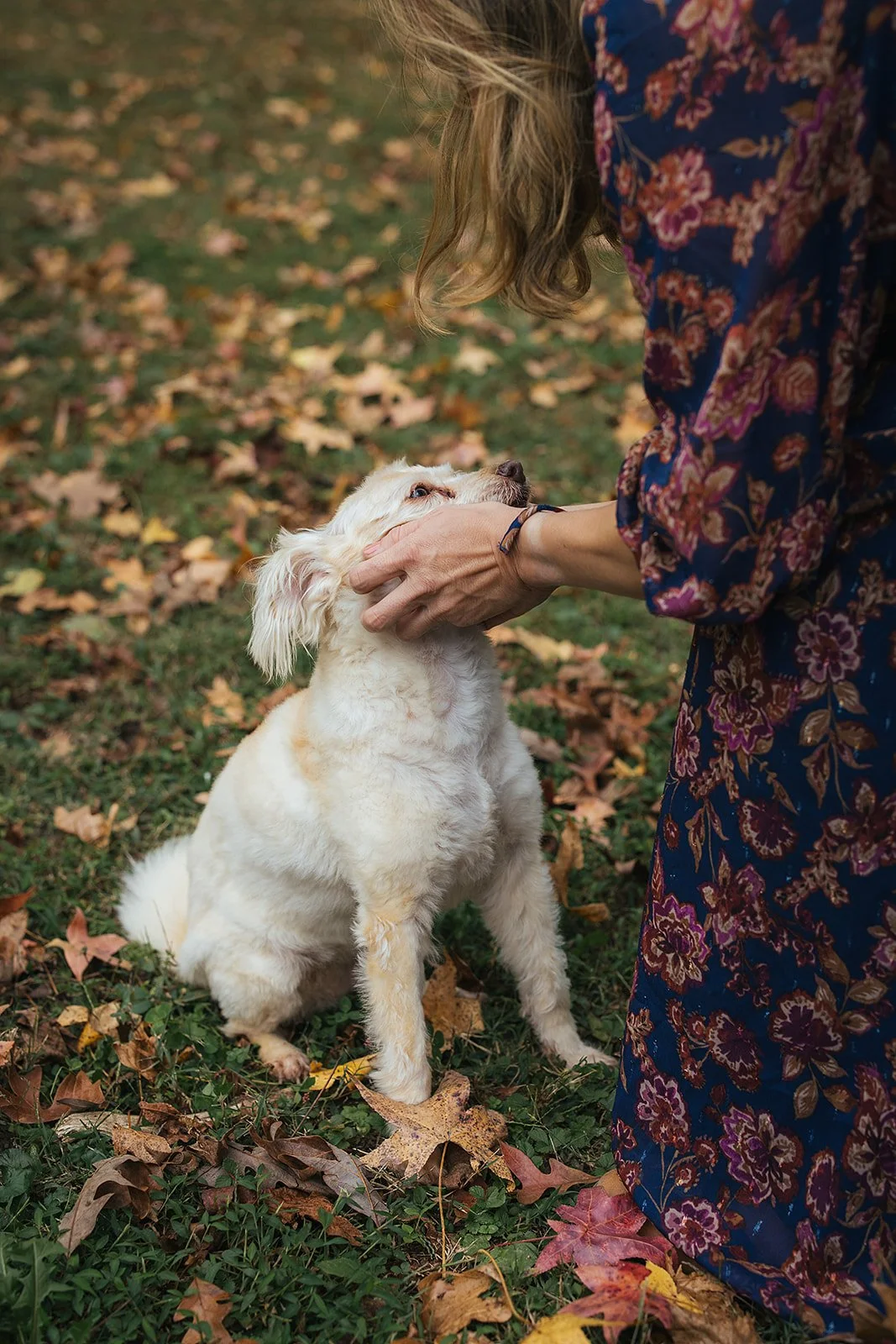 Mom tenderly pets the family dog among fall leaves at Duke Park during Durham NC motherhood photography session