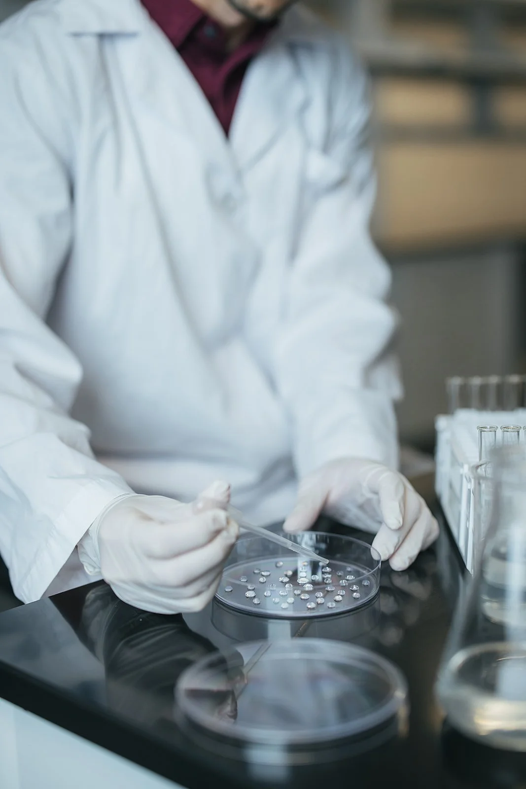 GlovedHandsPipettingIntoPetriDish