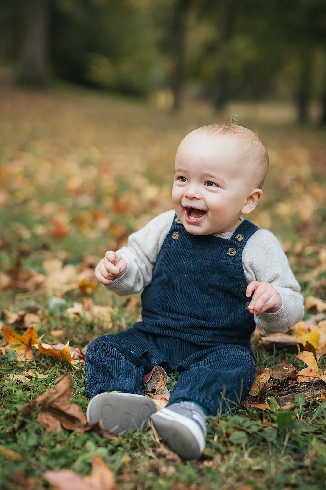Joyful one - year - old baby boy laughing with mouth wide open in fall leaves at Duke Park during his first birthday session in Durham NC