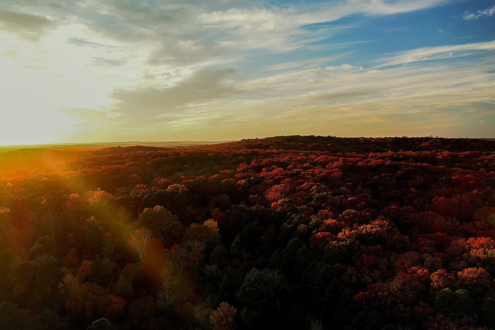 Aerial Drone View of Fall Leaves on Trees with Sun Streaming Through Background Durham NC