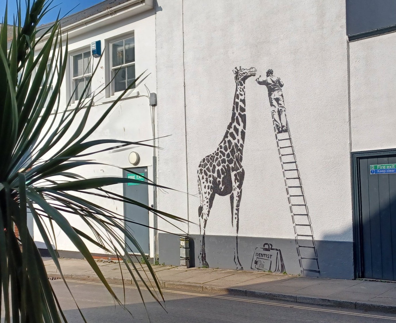dentist+giraffe+situ.jpg