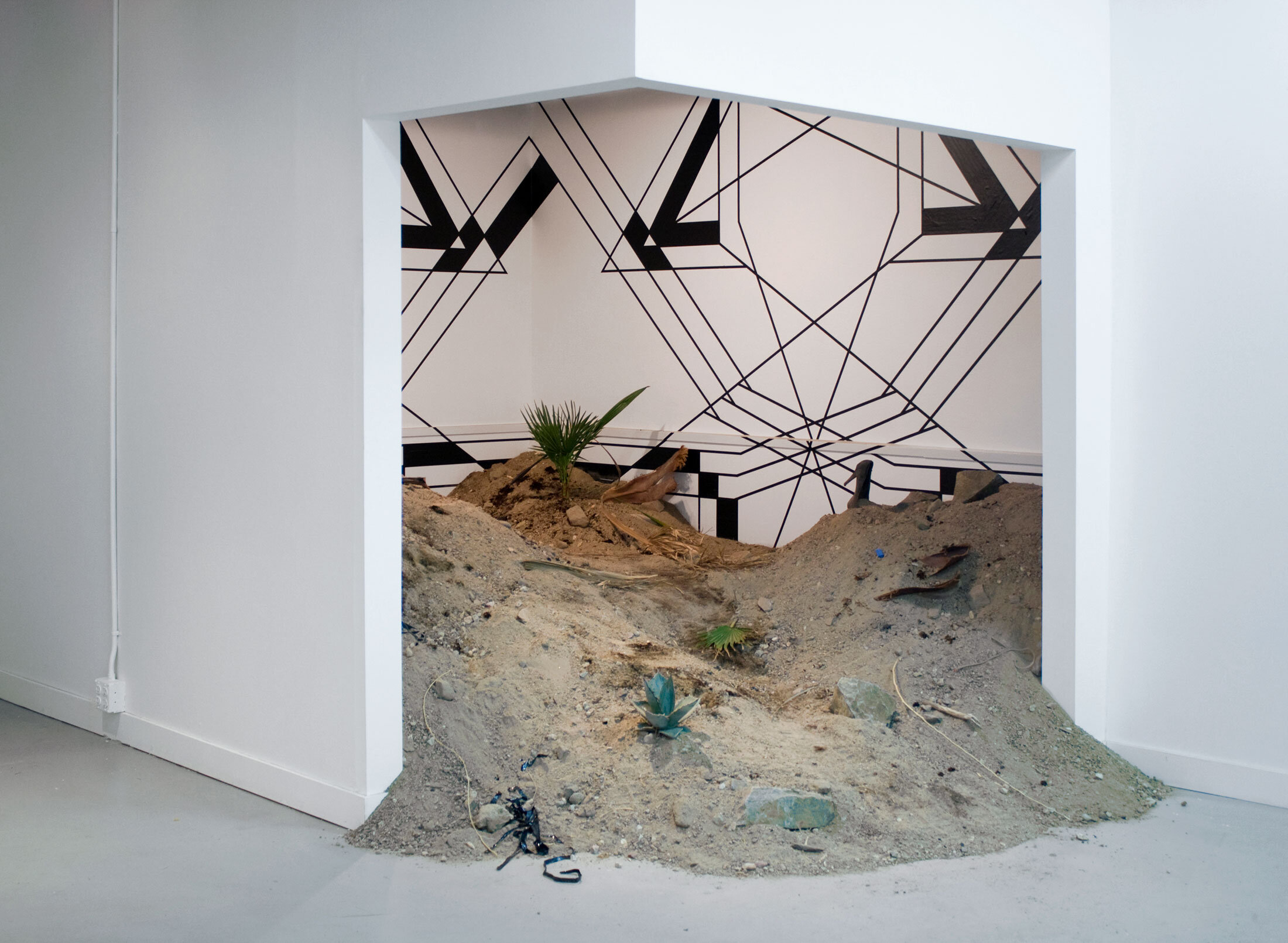    Study for an Oasis: Indio    Soil, rocks, live plants, local detritus, tape on wall 