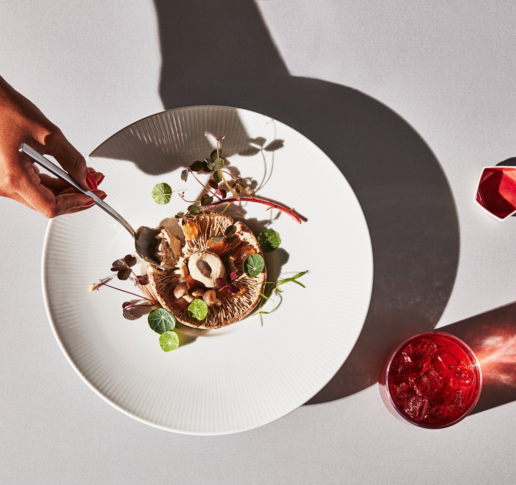 TestKitchen_Mushroom_0166.jpg