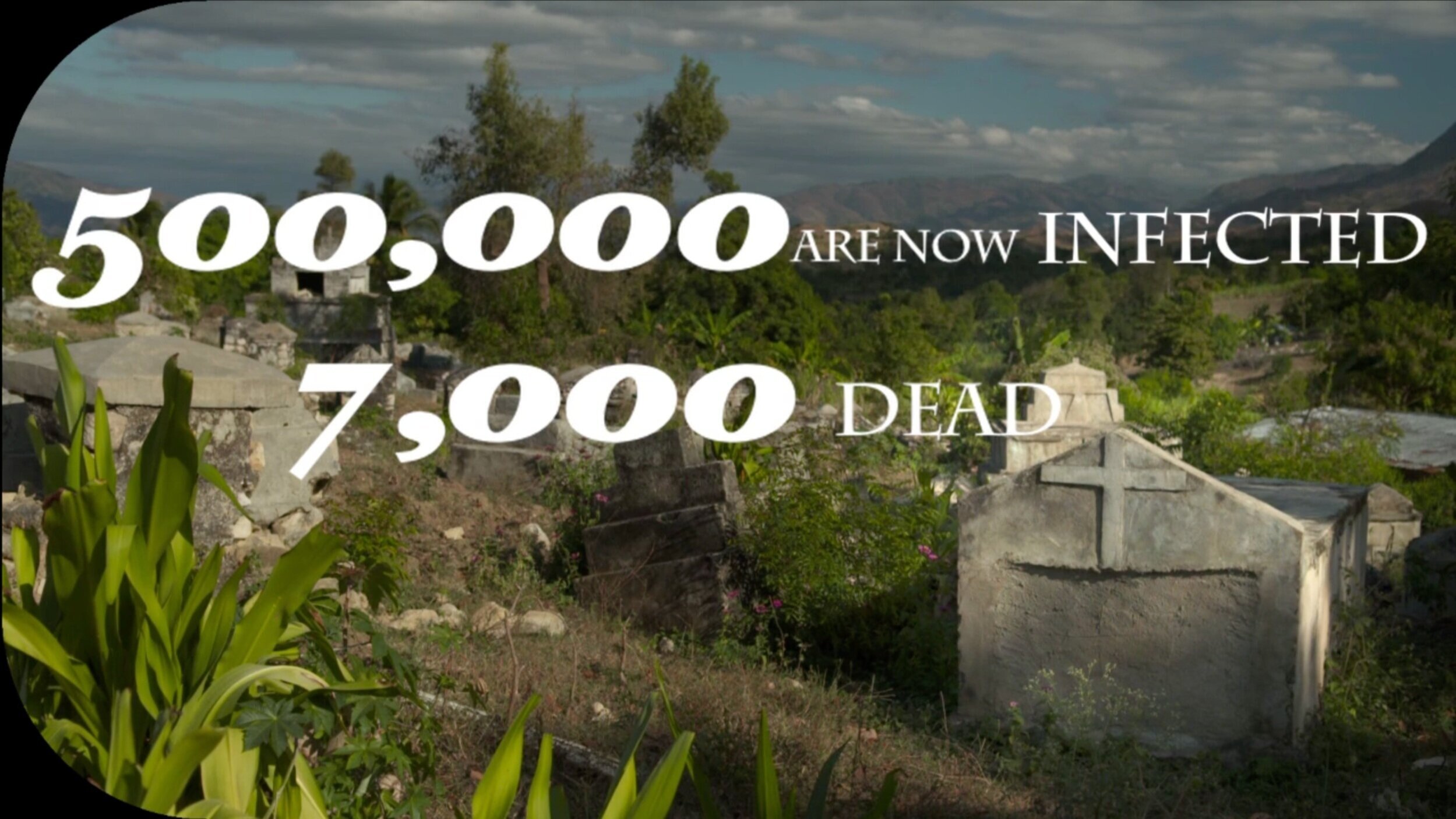 INSTITUTE FOR JUSTICE + DEMOCRACY IN HAITI
