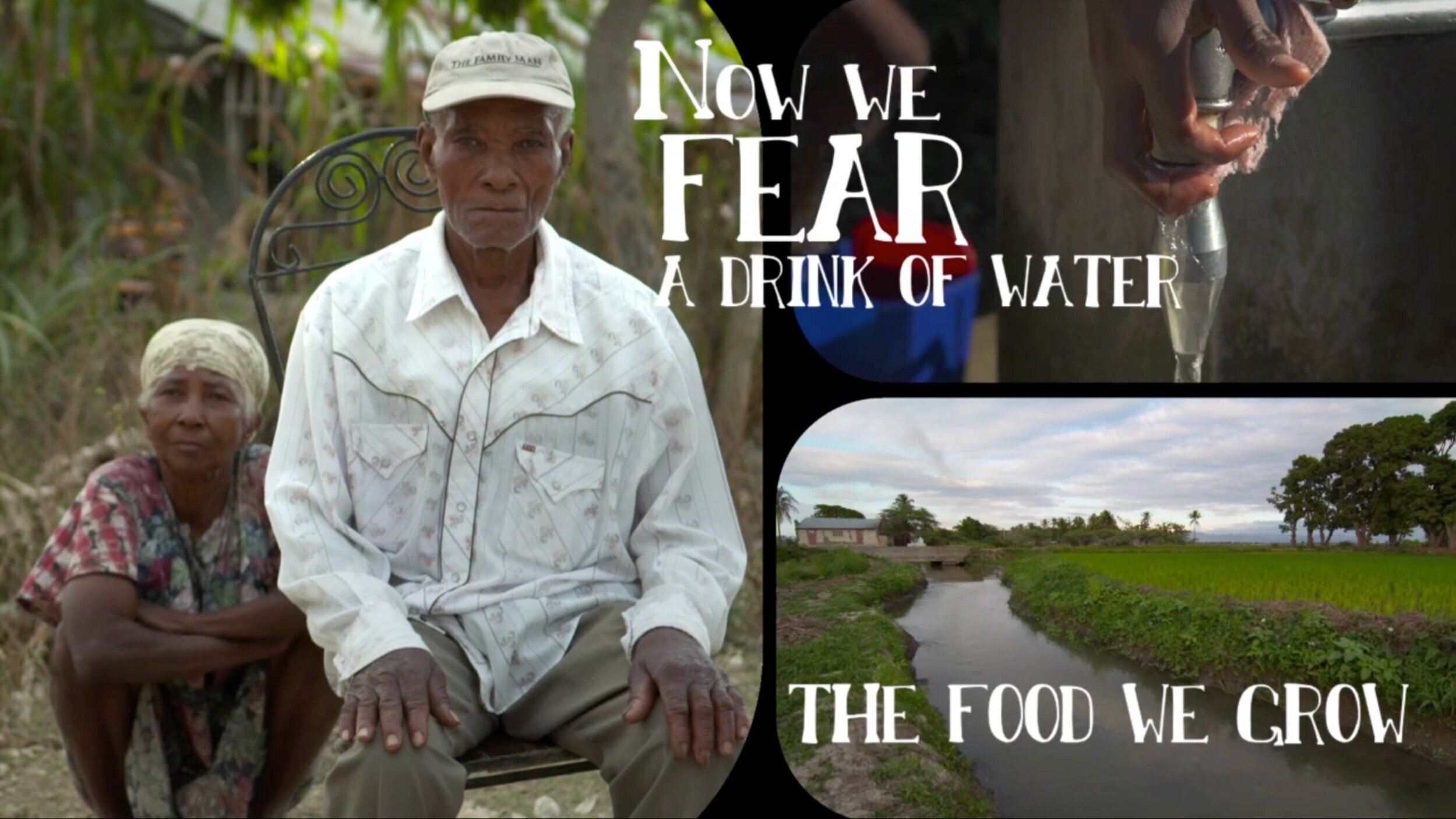 INSTITUTE FOR JUSTICE + DEMOCRACY IN HAITI
