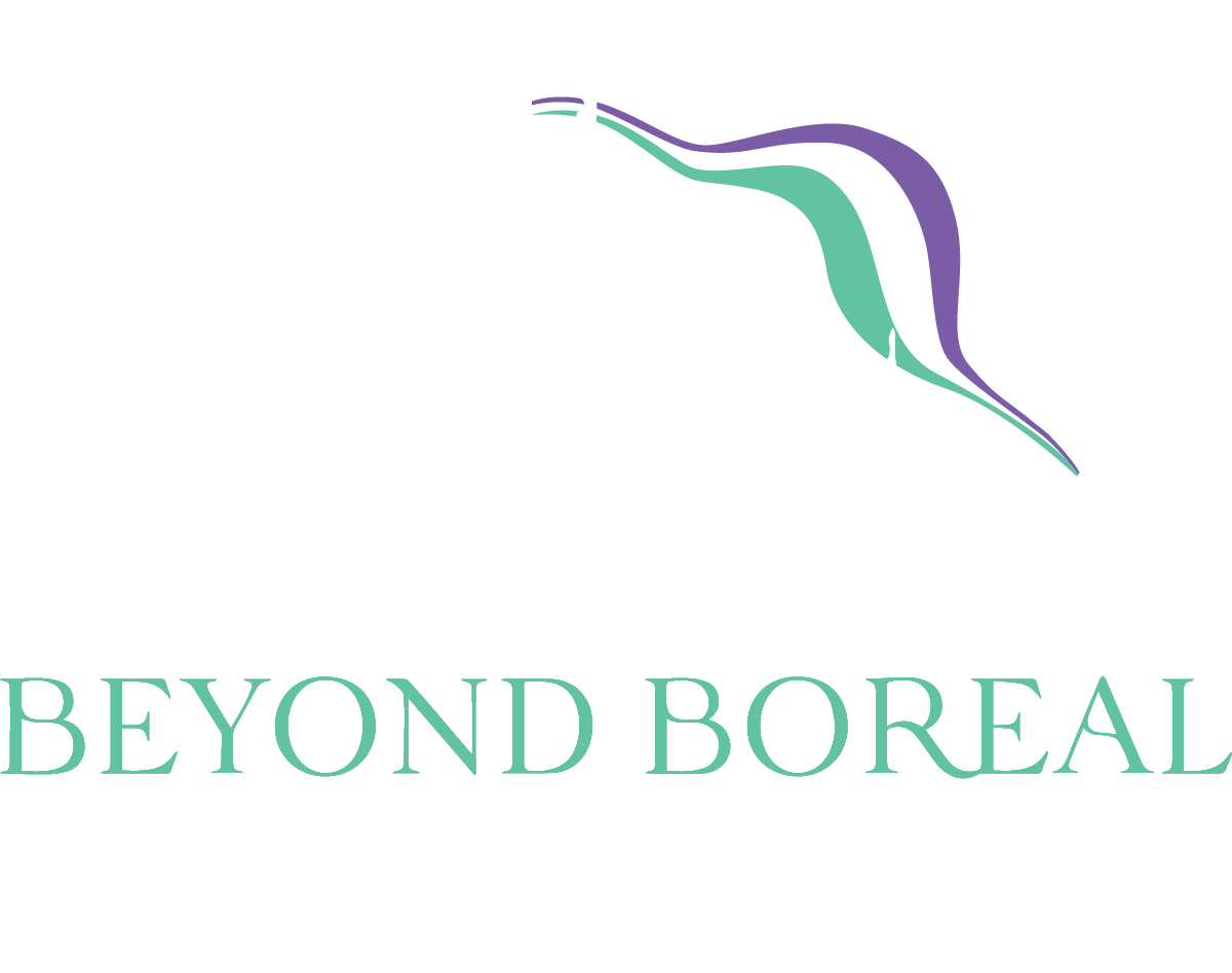 Beyond Boreal Expeditions