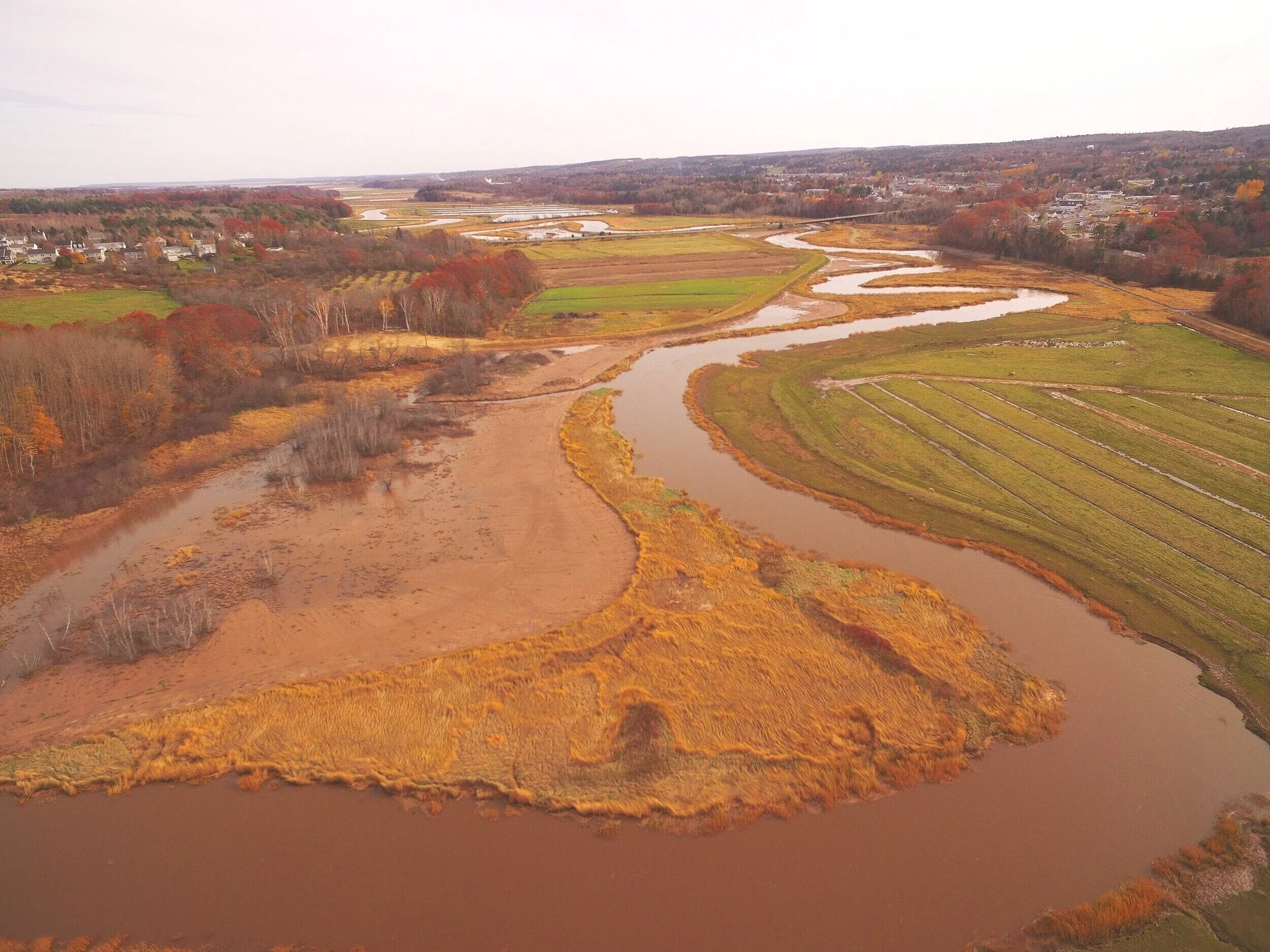 Applying Living Shorelines Techniques at Belcher Street Marsh — CBWES Inc.