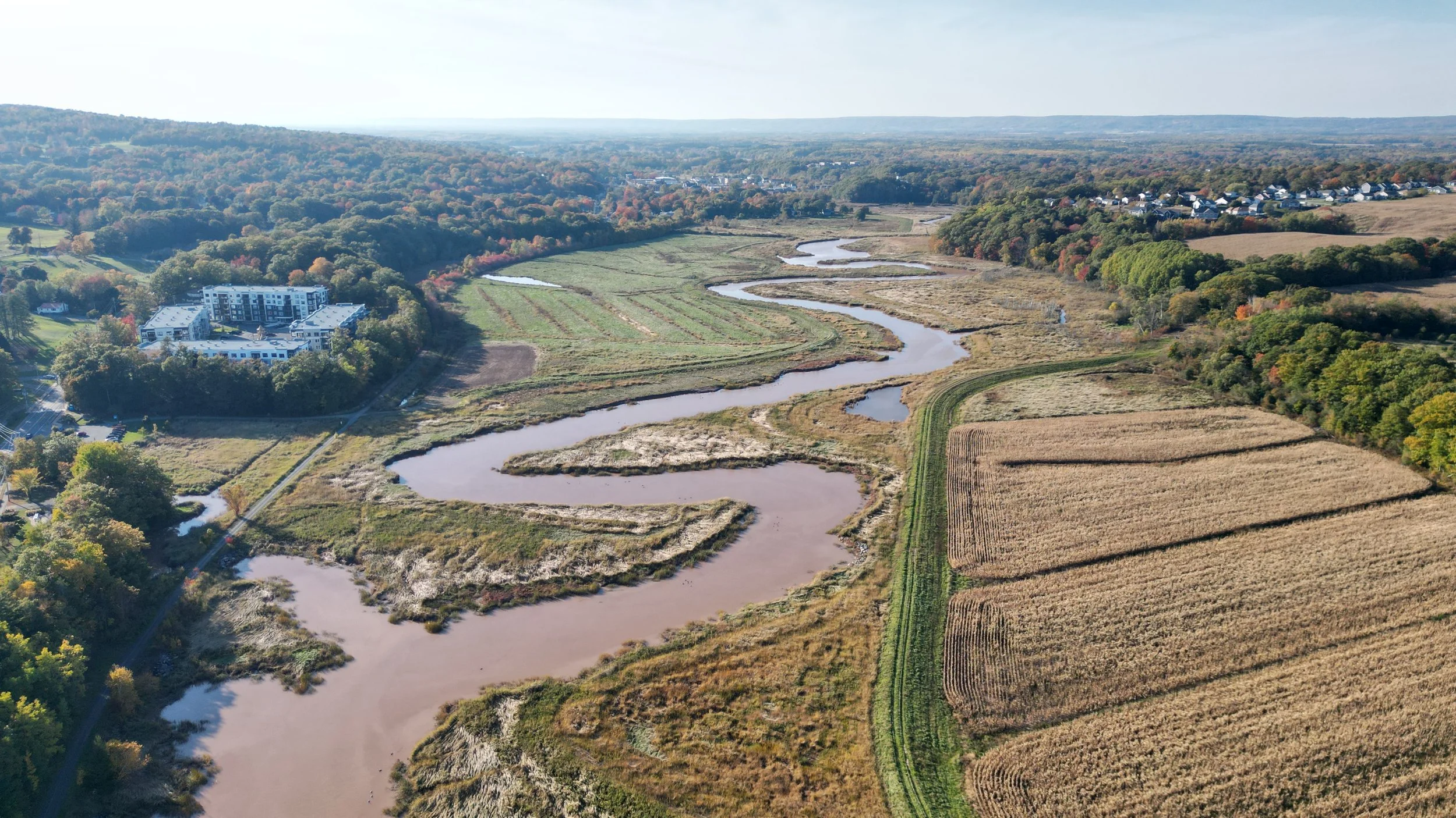 Living Shorelines at Belcher Street Marsh — CBWES Inc.