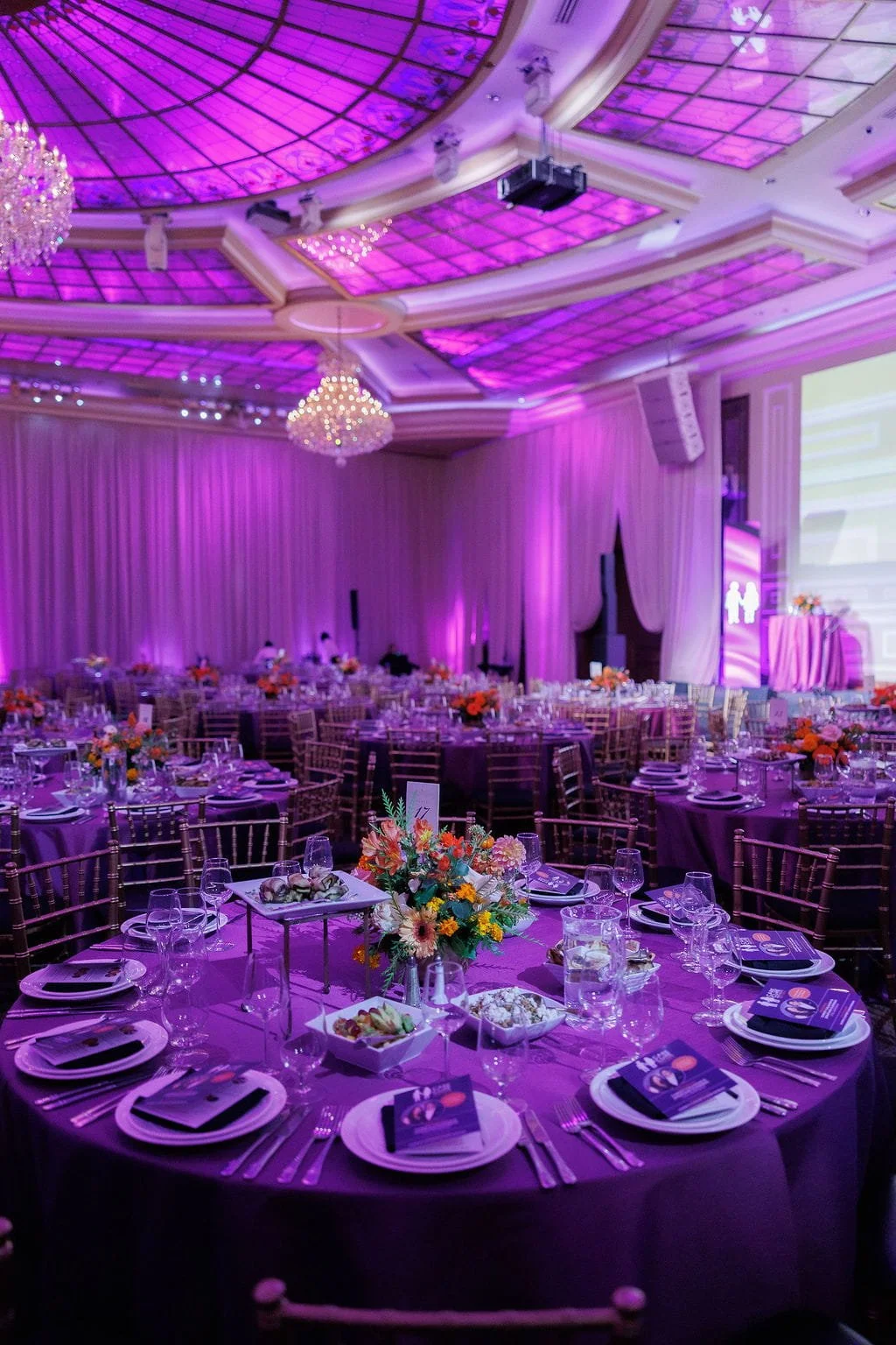 gala fundraiser new york.jpg