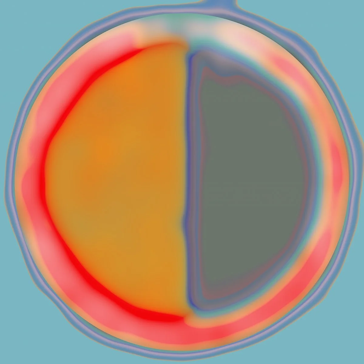 Proxima d .JPG