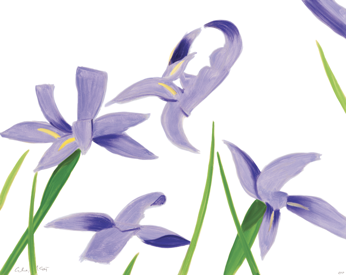 Alex Katz | Purple Irises on White