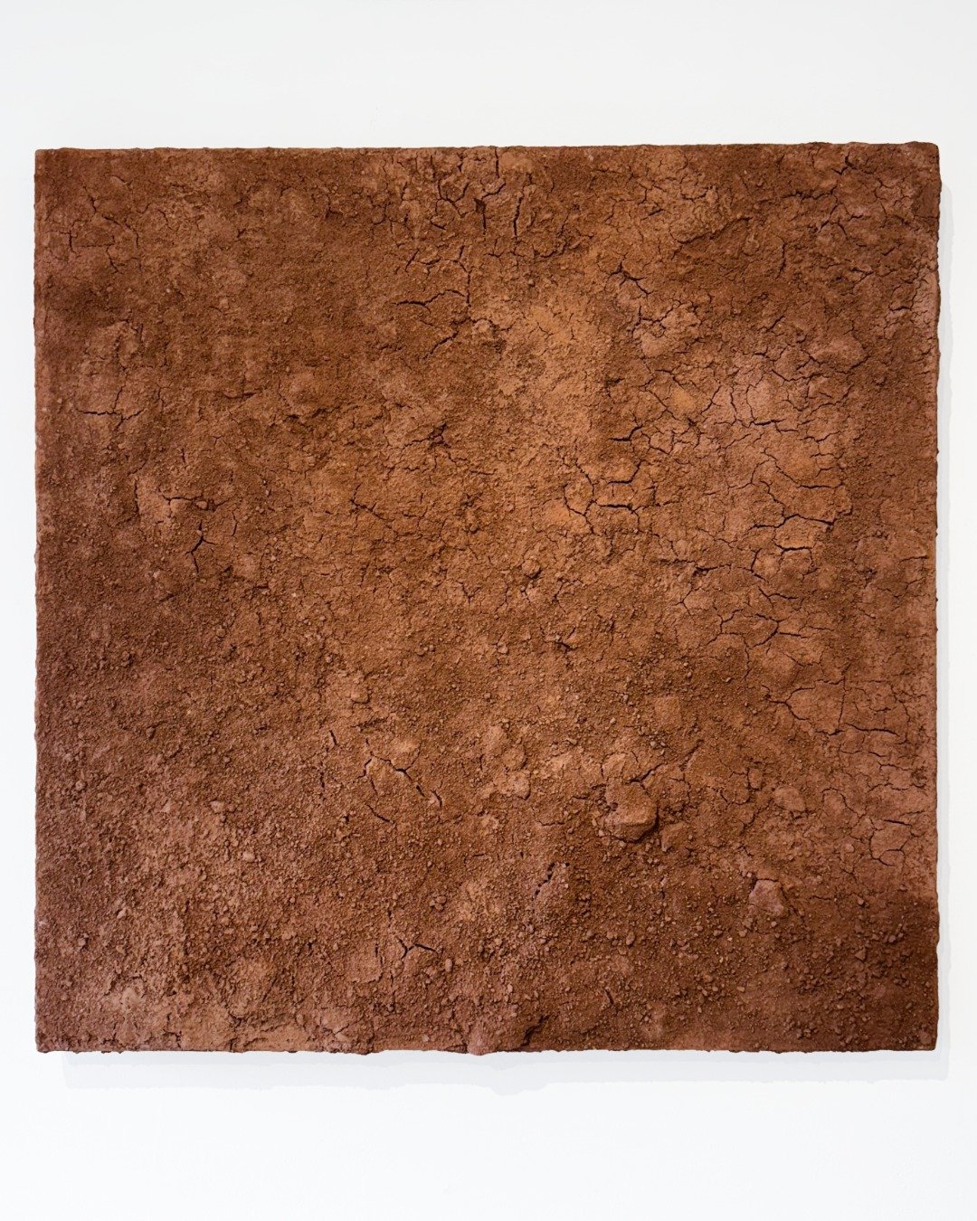 In her pursuit to stay connected to the world she captures, Ilona Golovina transitioned from photography to painting by collecting soil from the places she visited and memorializing them on canvas.

'NY soil painting', 2024
