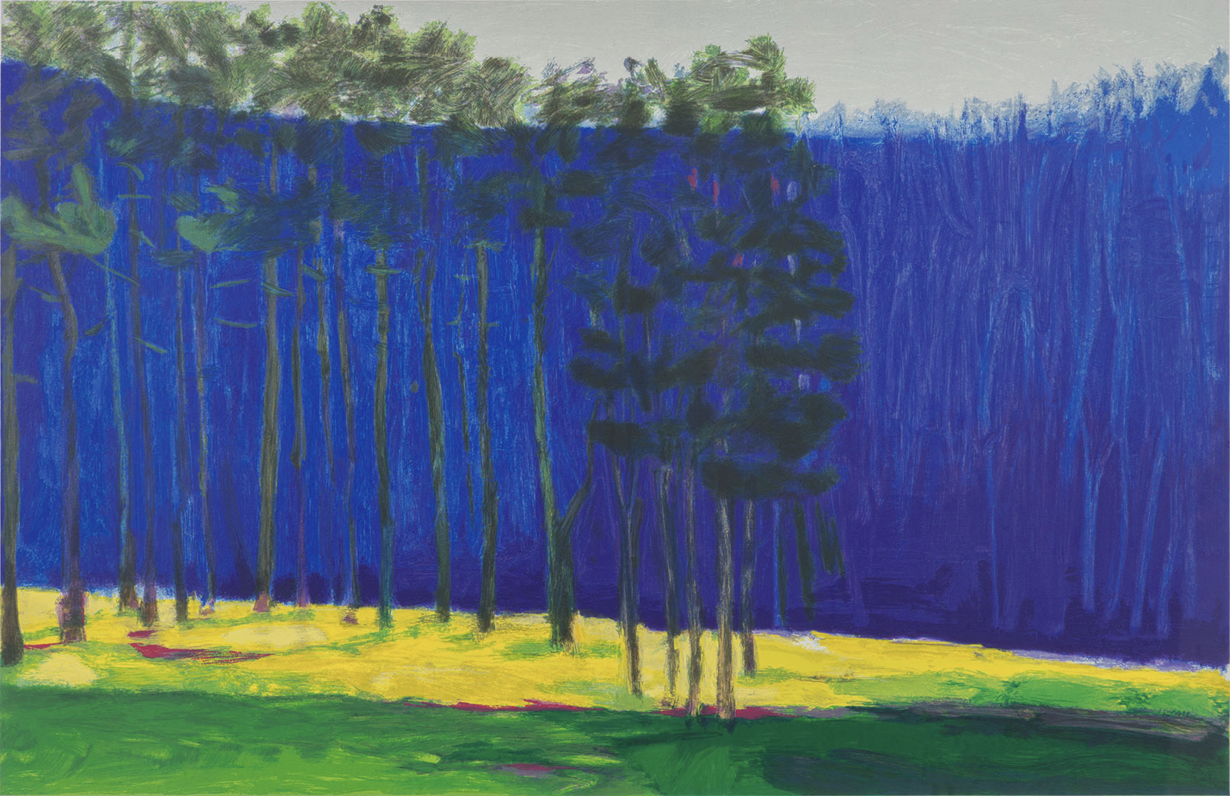 Dark Pines.png